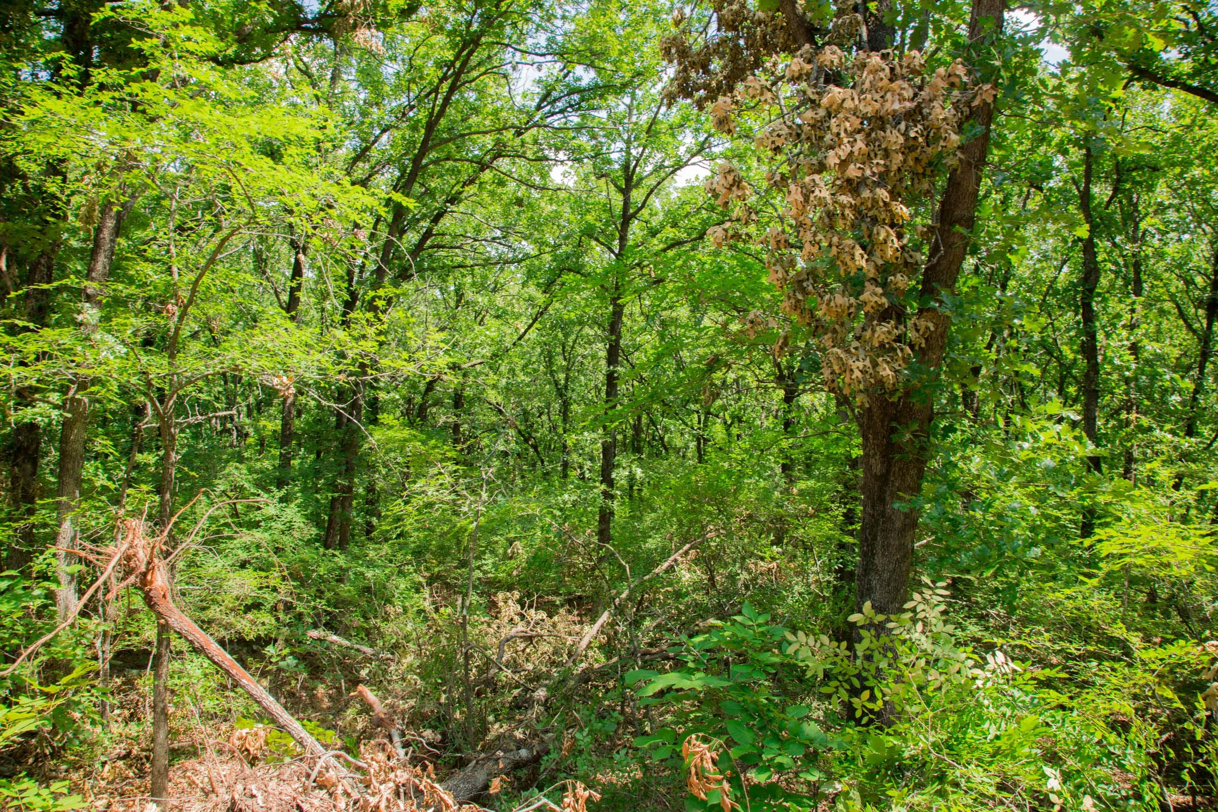 Deep Fork Ranch Tract 8 photo 2