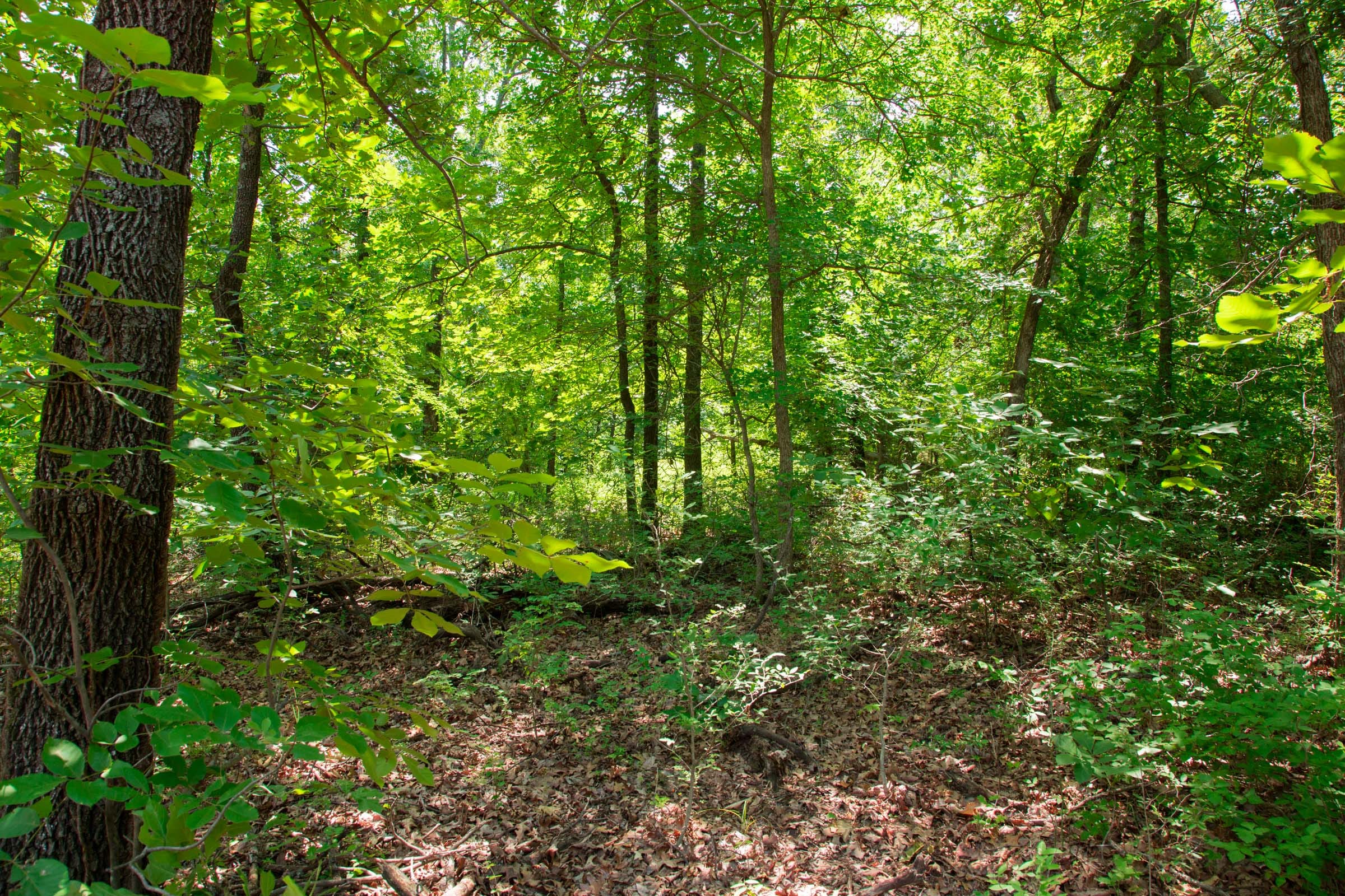 Deep Fork Ranch Tract 8 photo 8