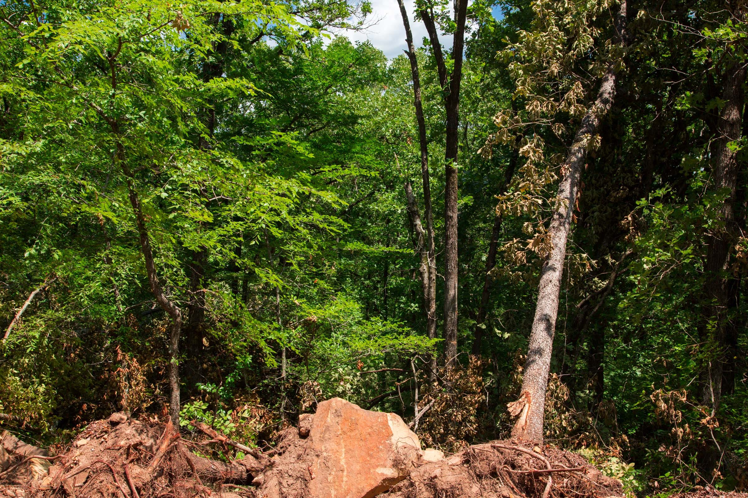 Deep Fork Ranch Tract 8 photo 9