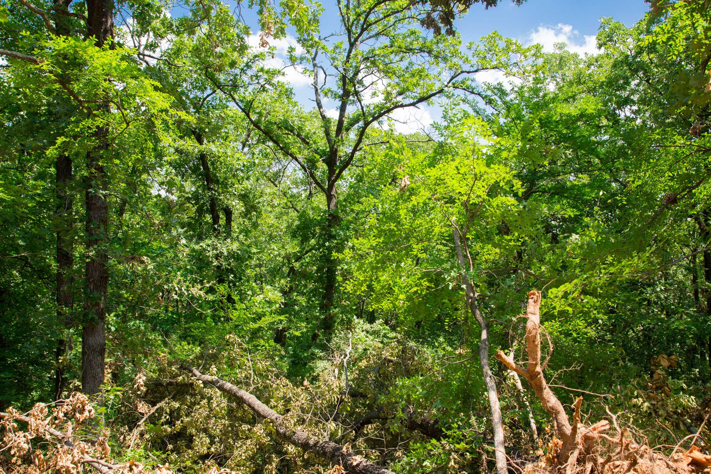 Deep Fork Ranch Tract 8 photo 10