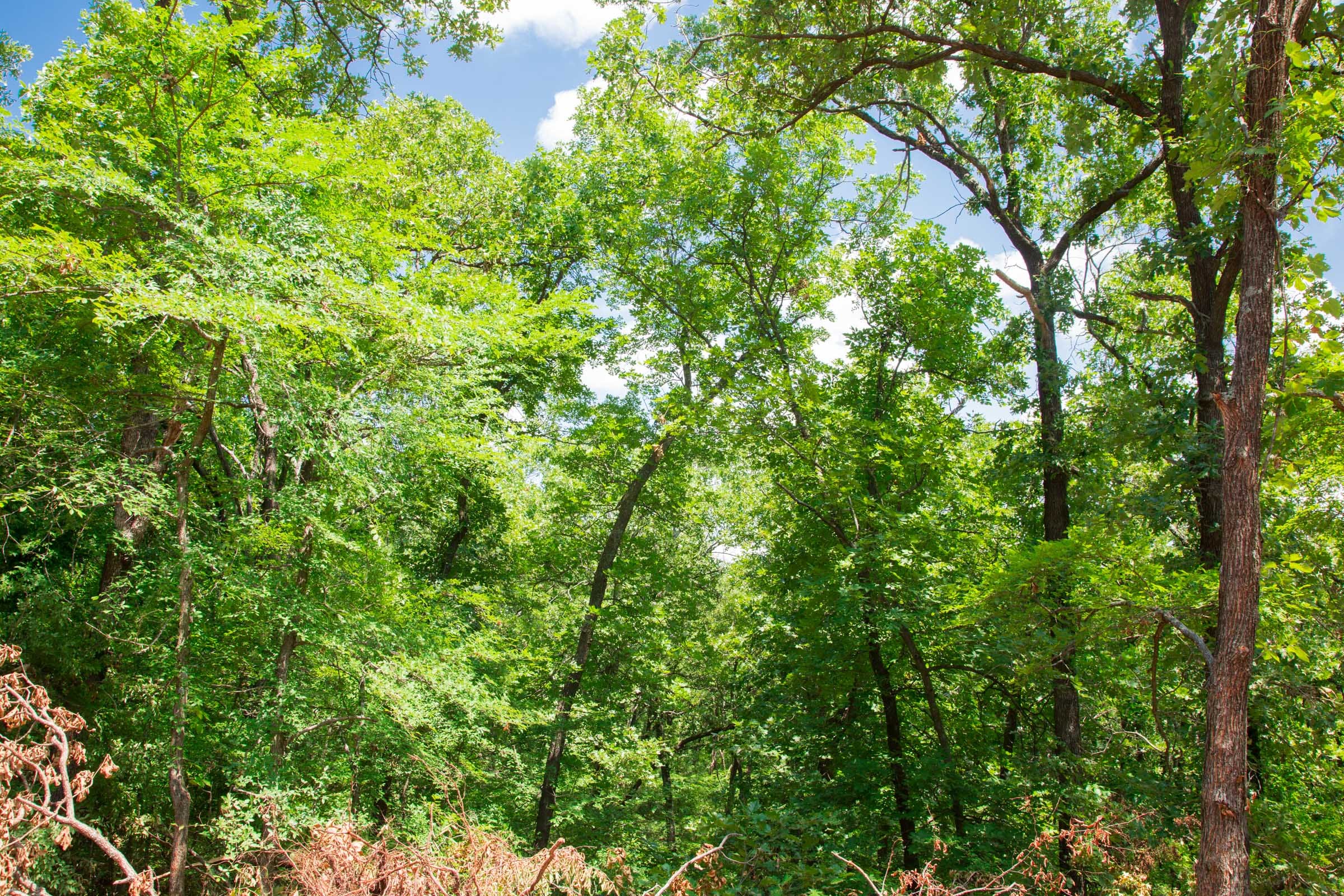Deep Fork Ranch Tract 8 photo 11