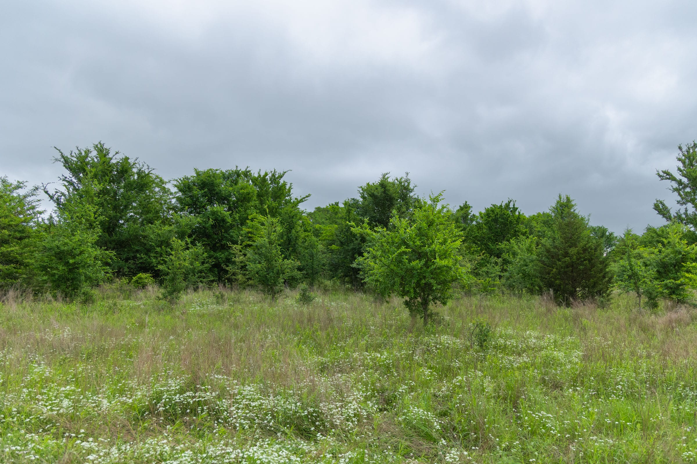 Harmony Hills Tract 1 photo 16