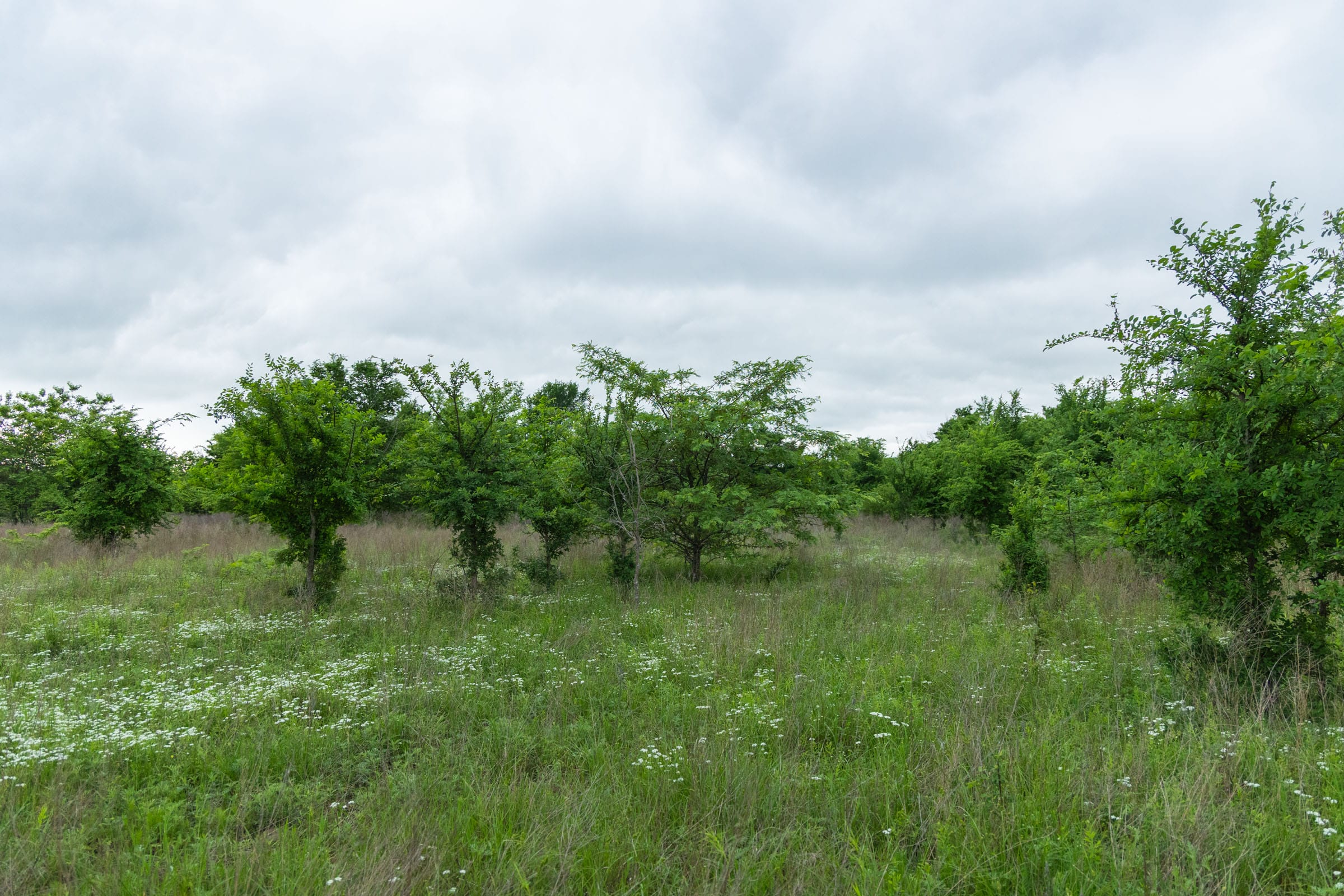 Harmony Hills Tract 1 photo 15