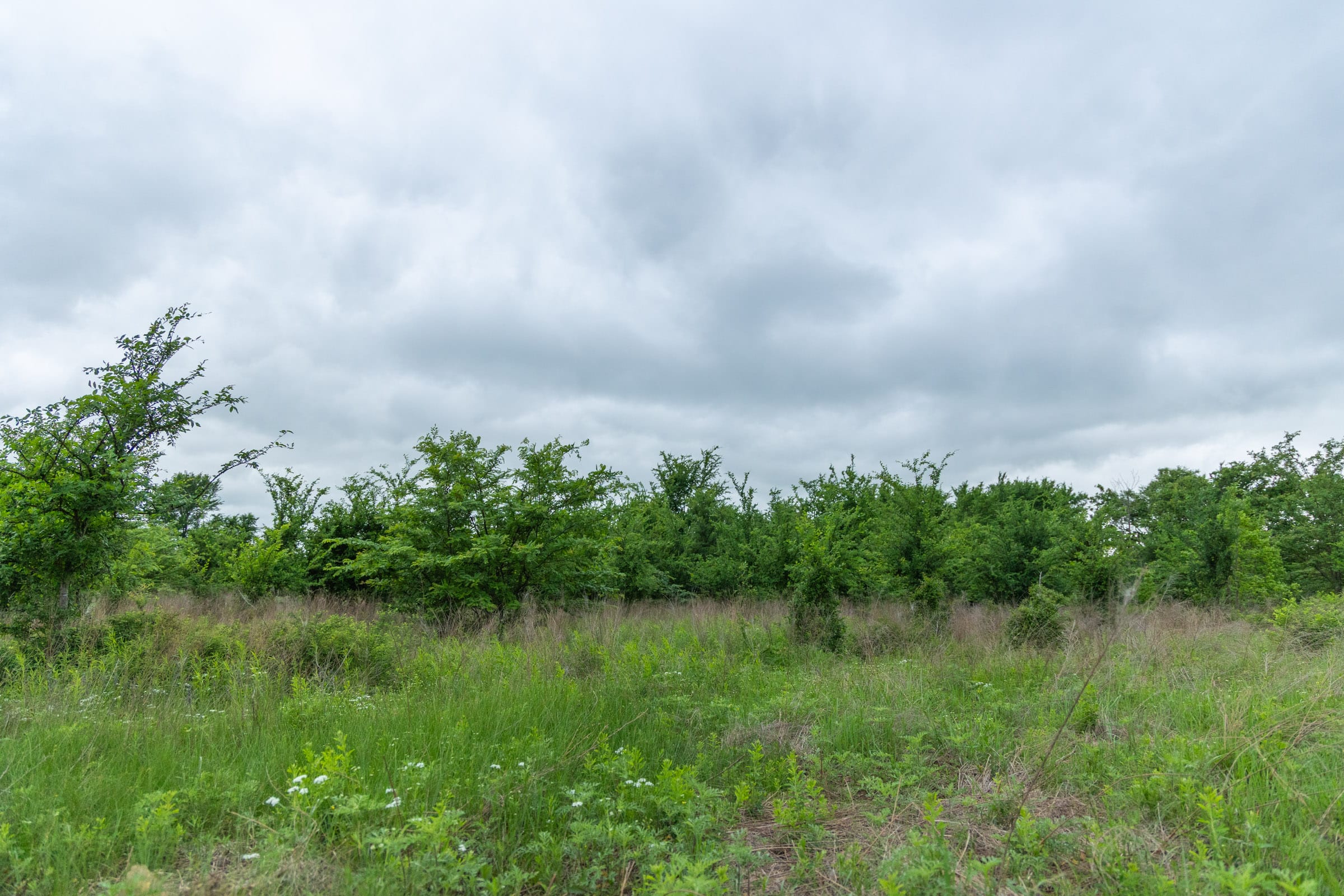 Harmony Hills Tract 1 photo 9