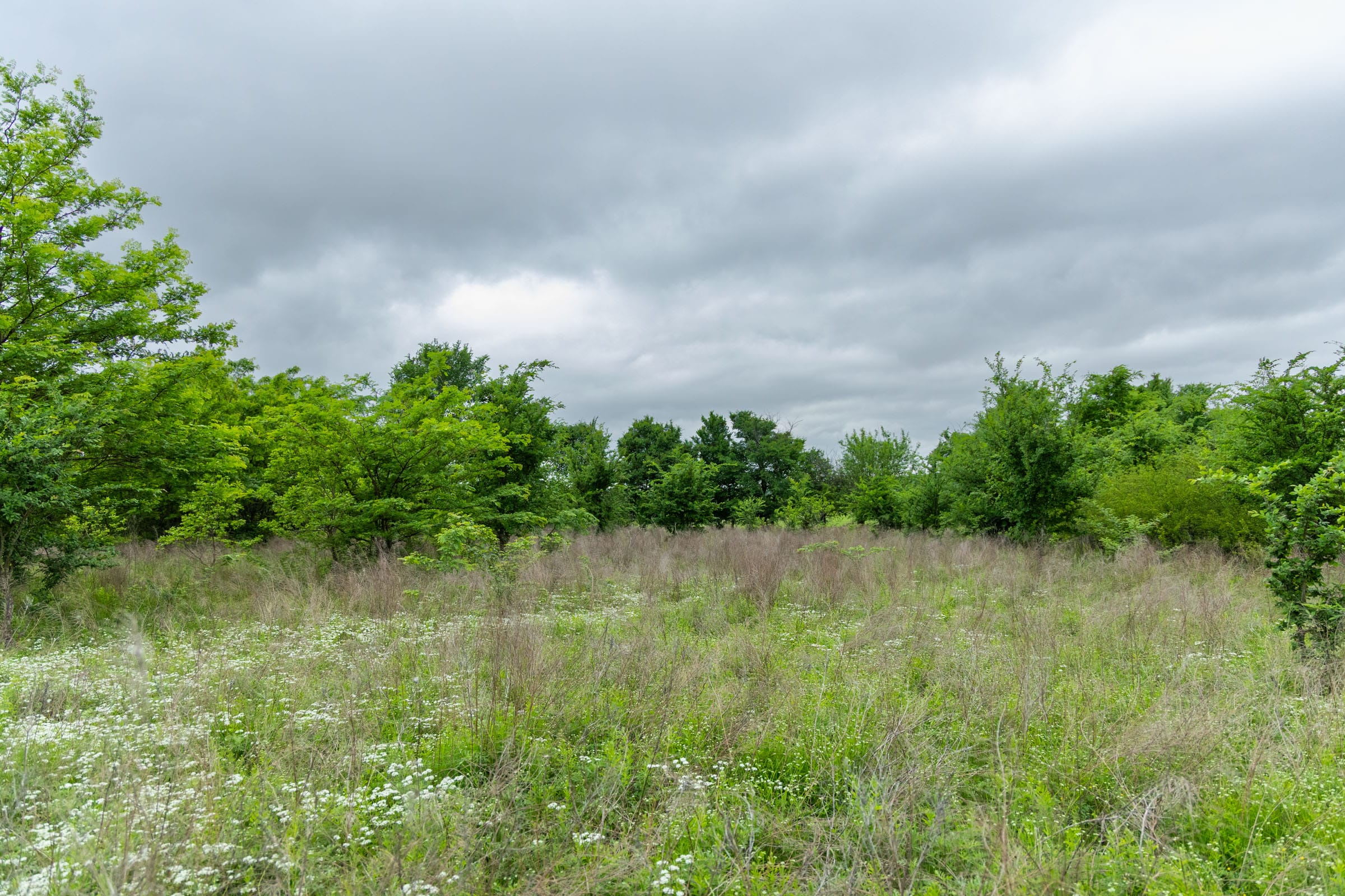 Harmony Hills Tract 1 photo 2