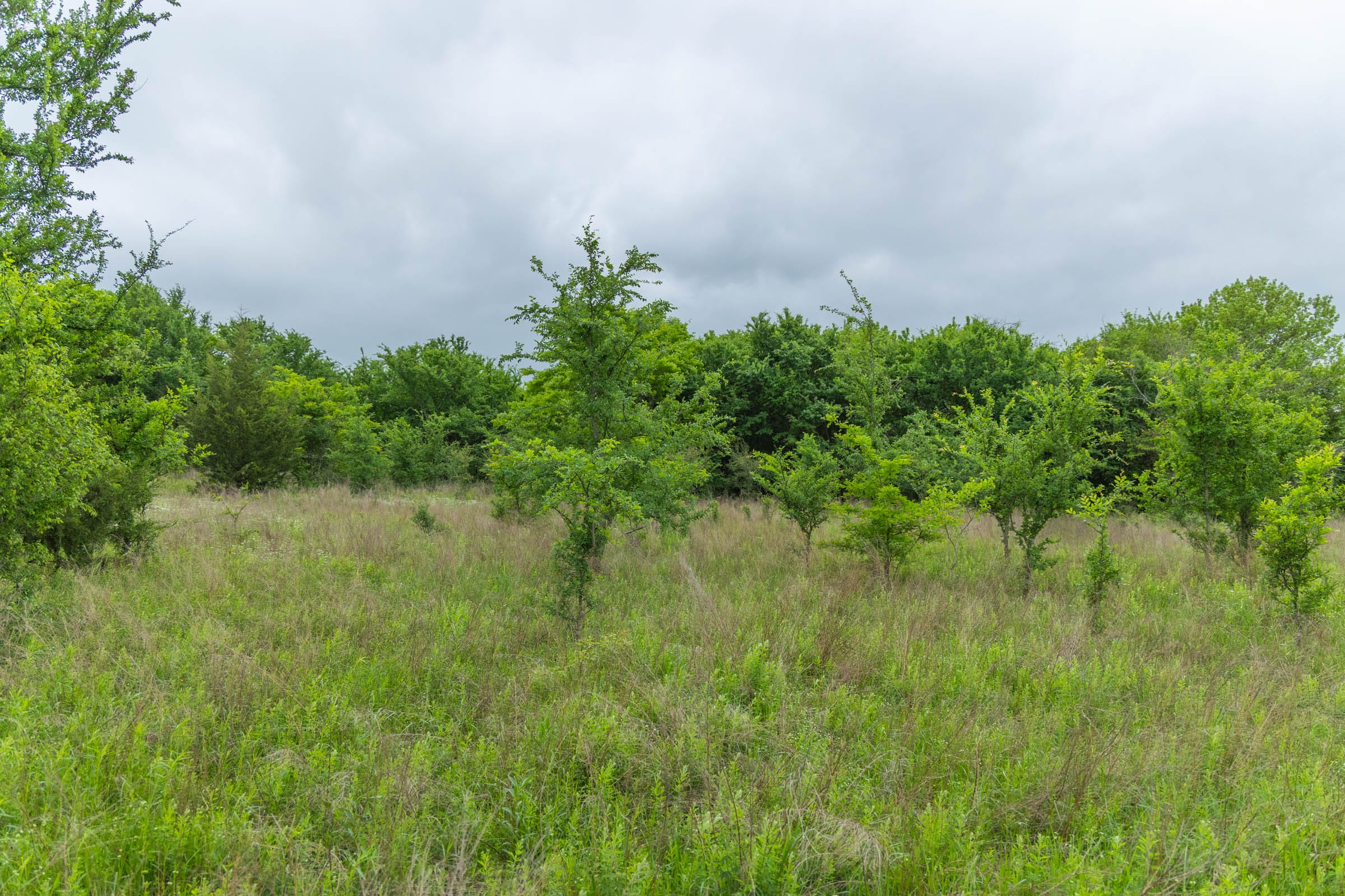 Harmony Hills Tract 1 photo 12
