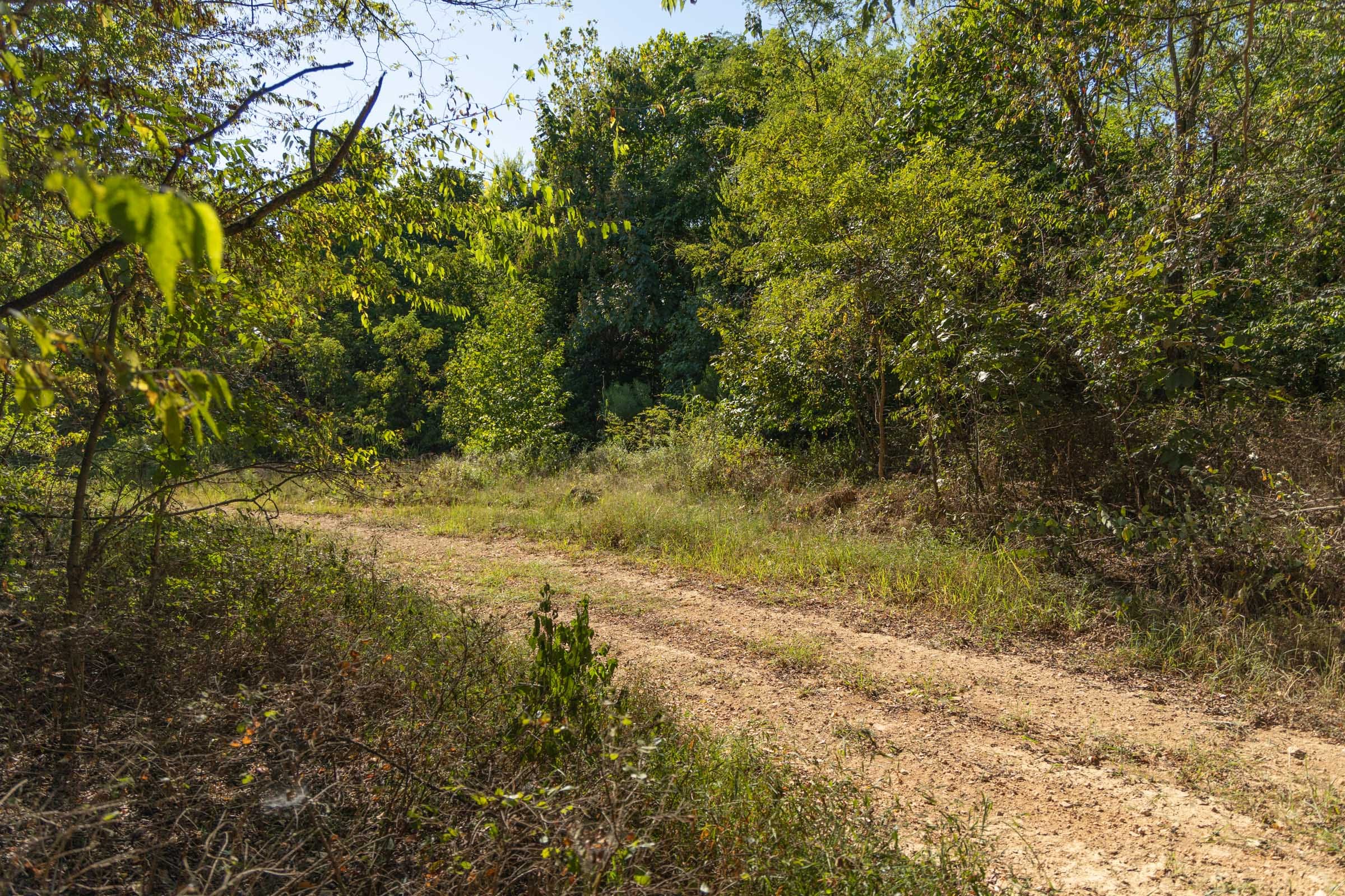 Big White Oak Tract 110 photo 16