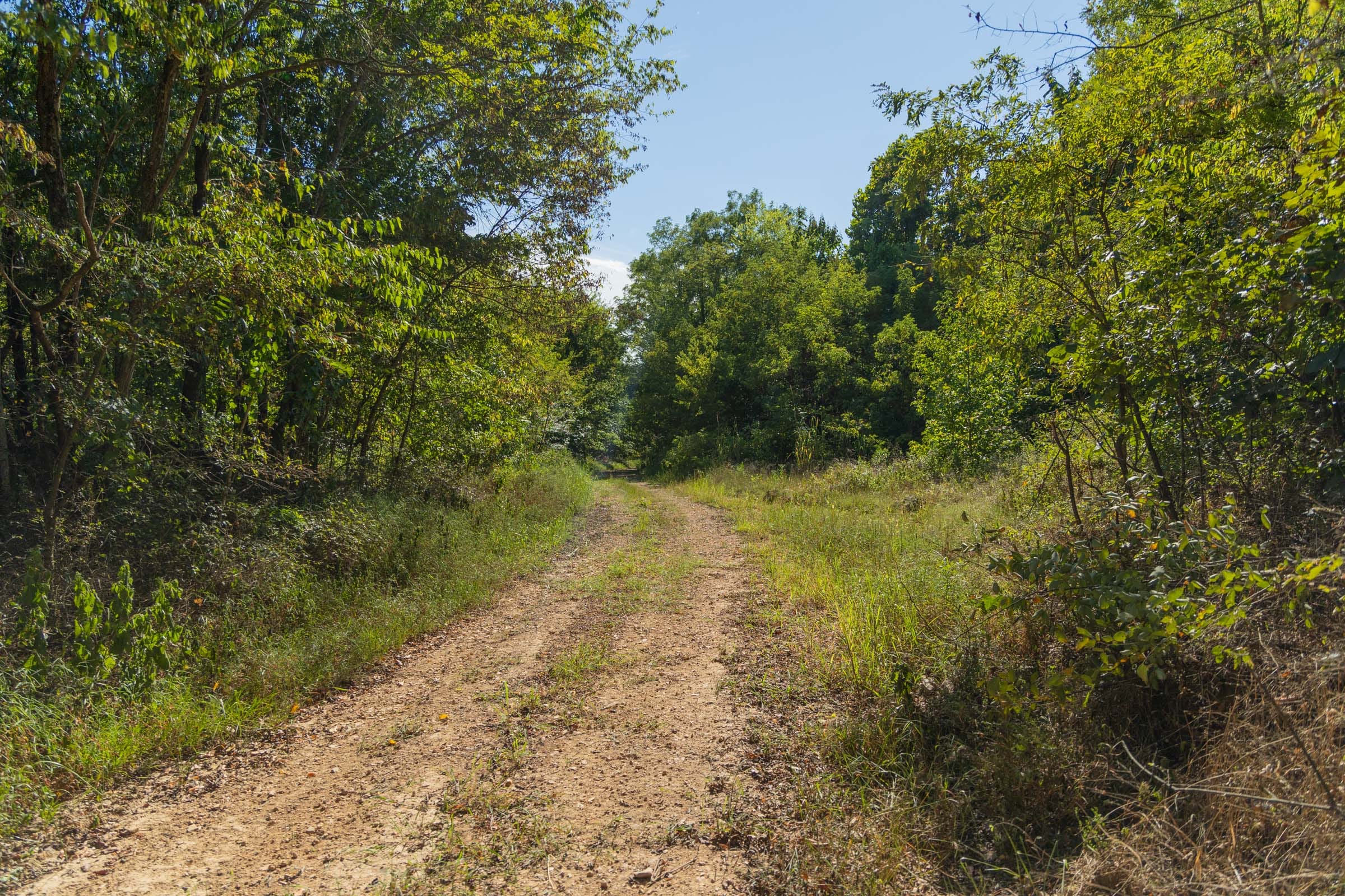Big White Oak Tract 110 photo 1