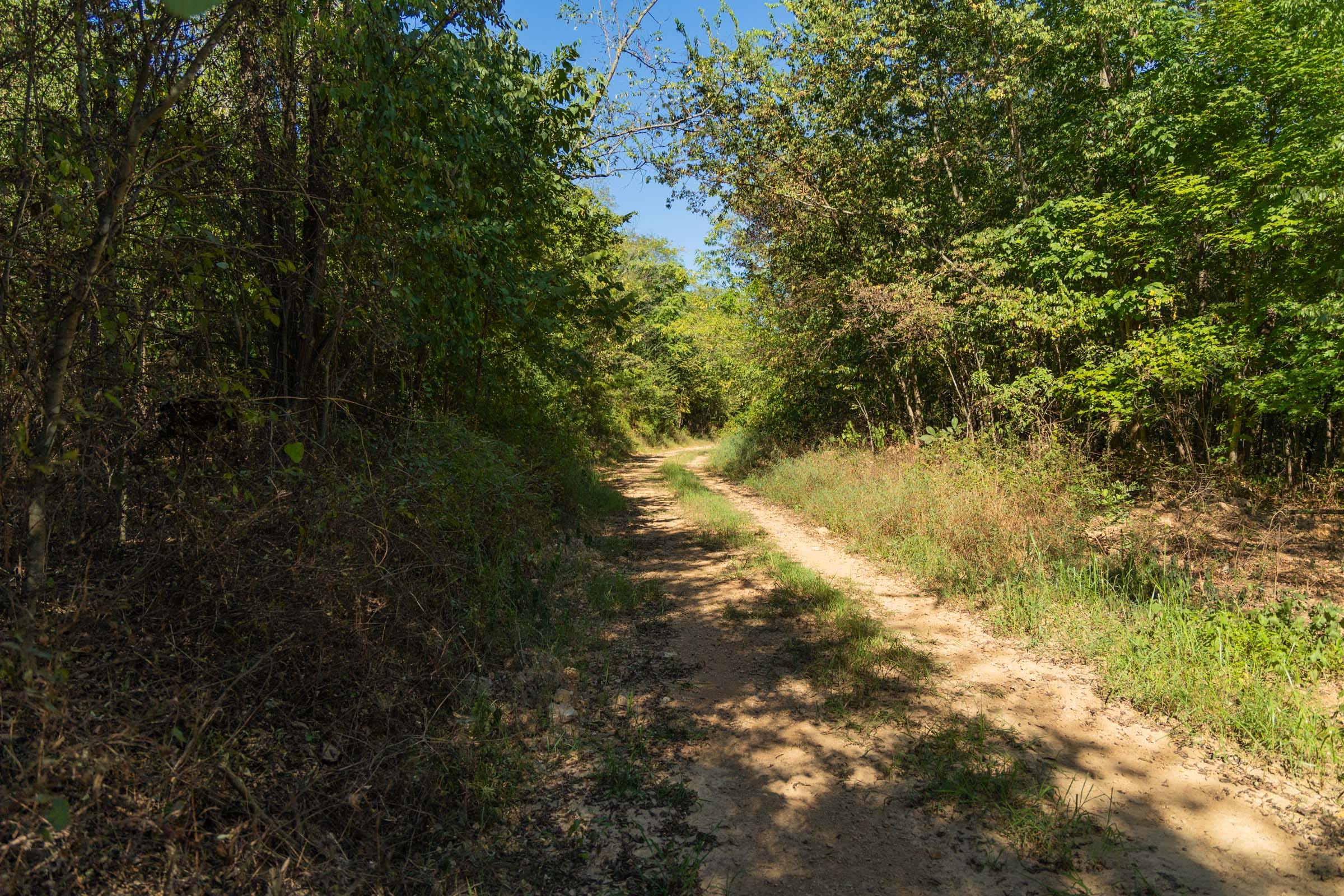 Big White Oak Tract 110 photo 13