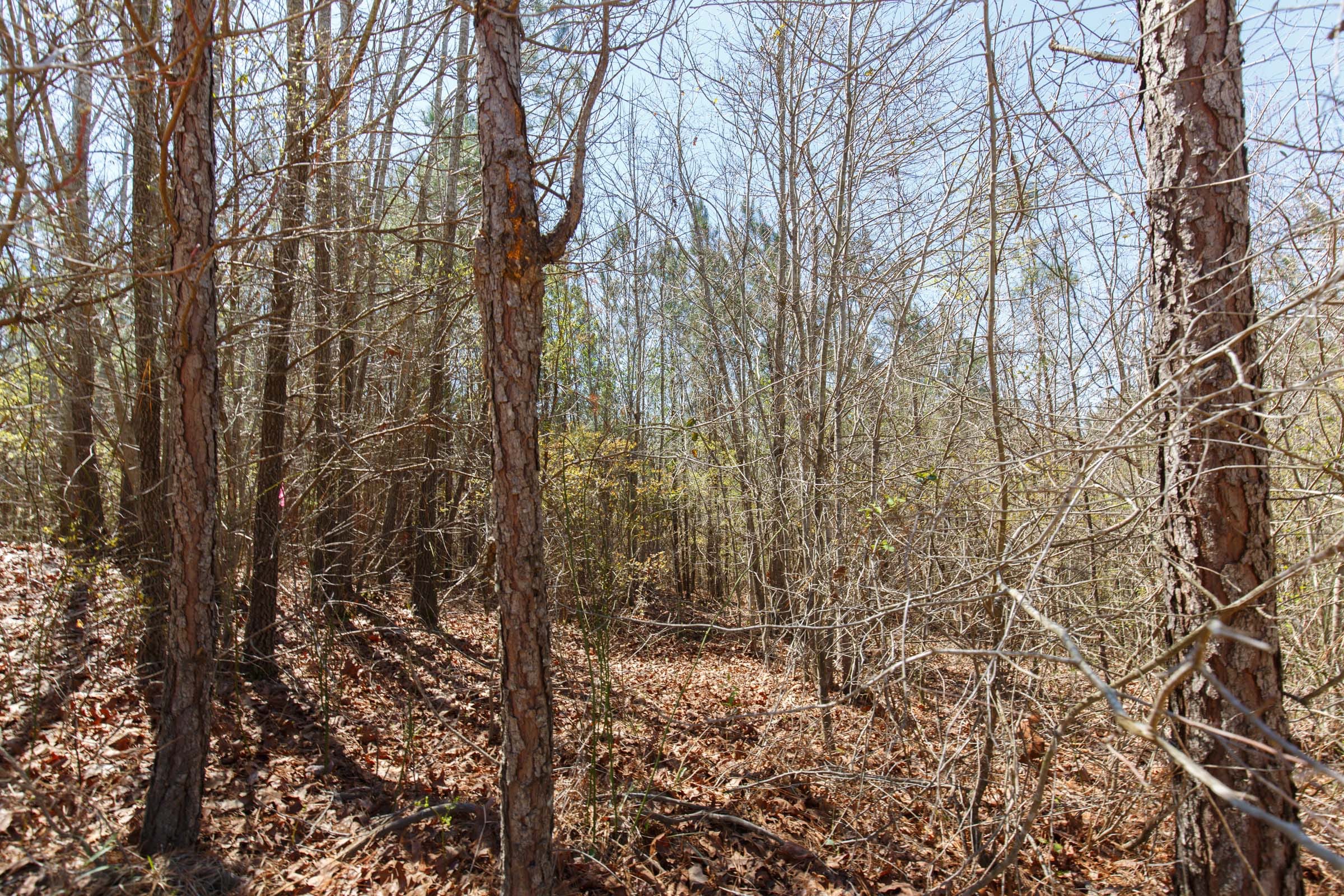 Southern Hills Tract 5 photo 3