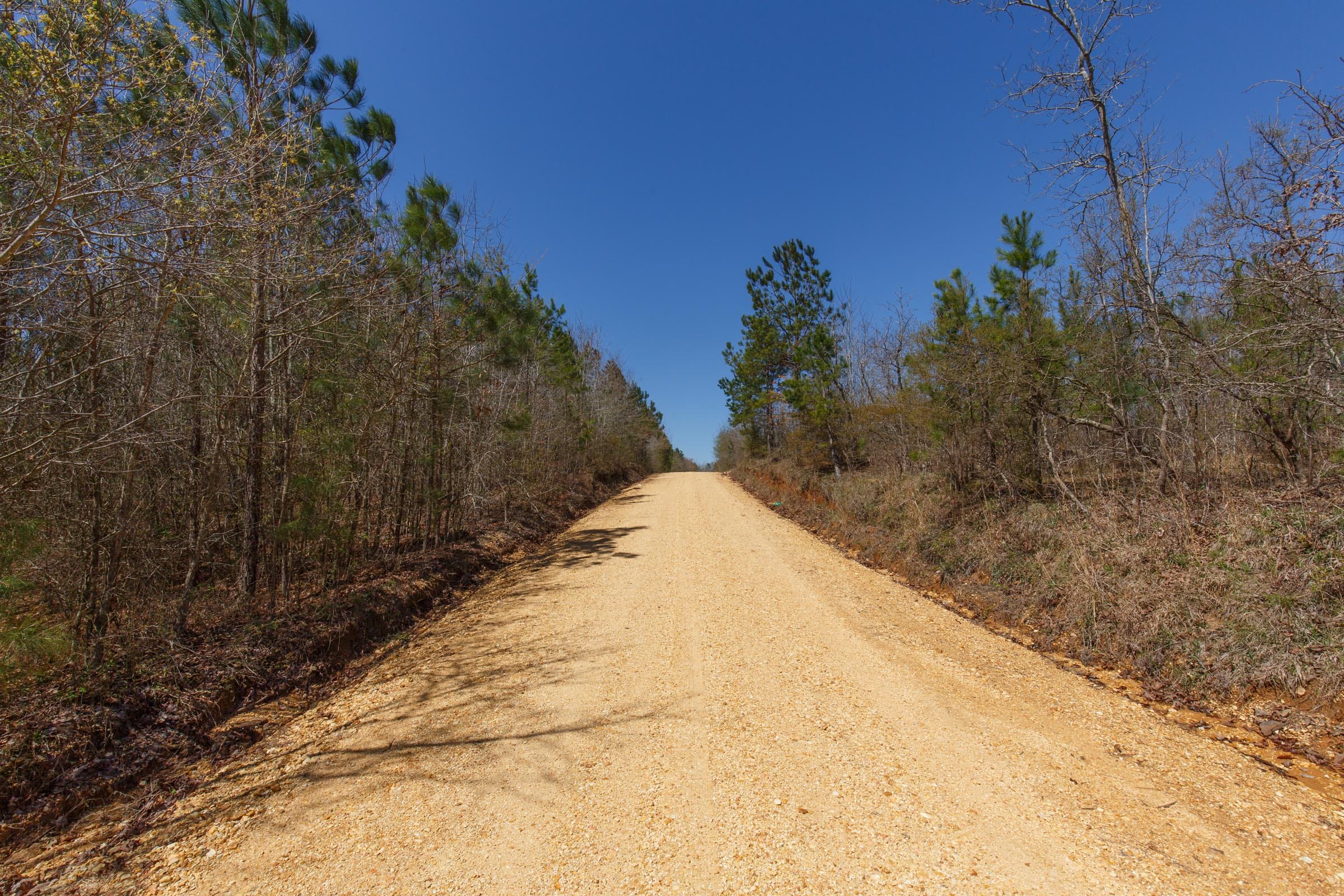 Southern Hills Tract 5 photo 6