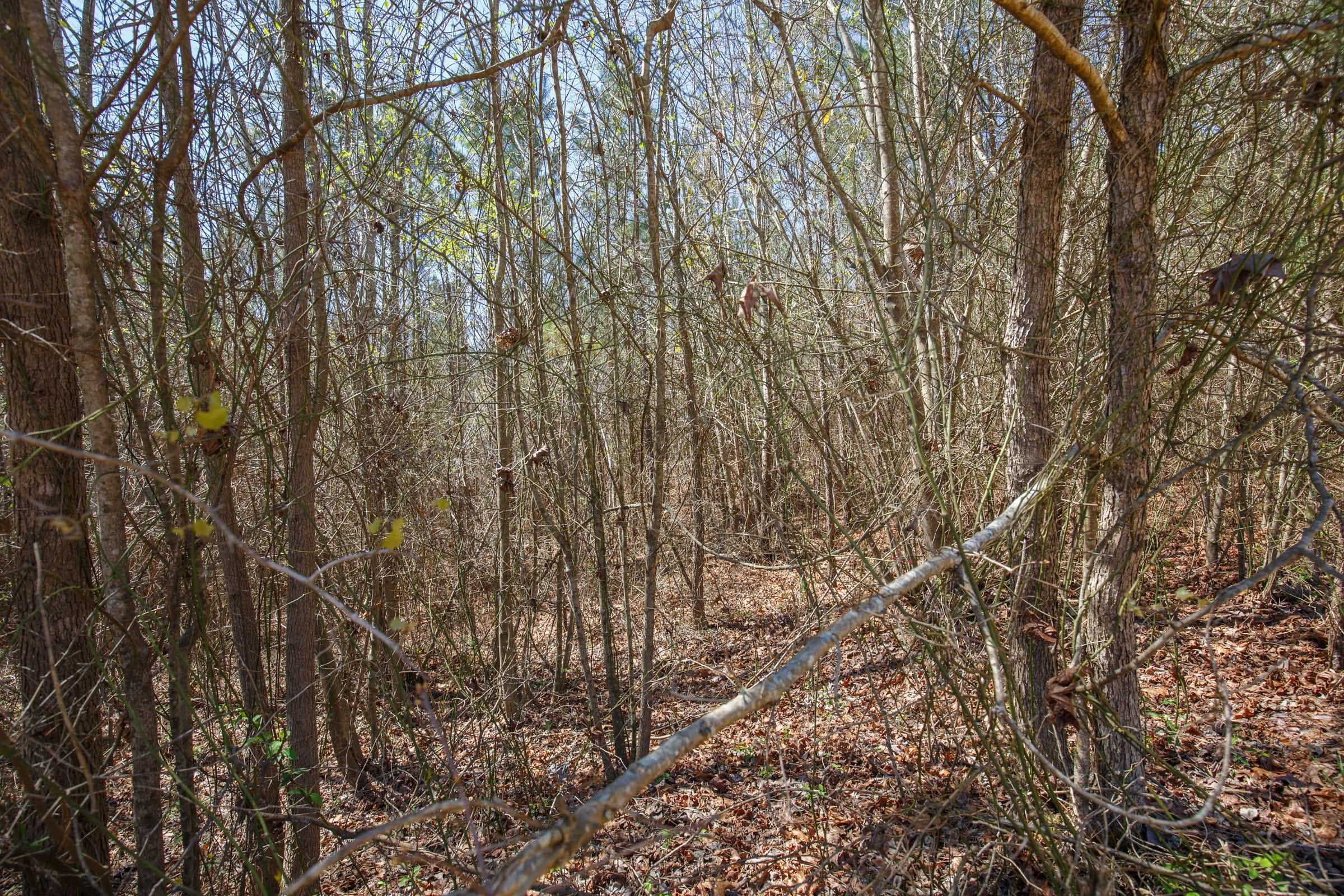 Southern Hills Tract 5 photo 9