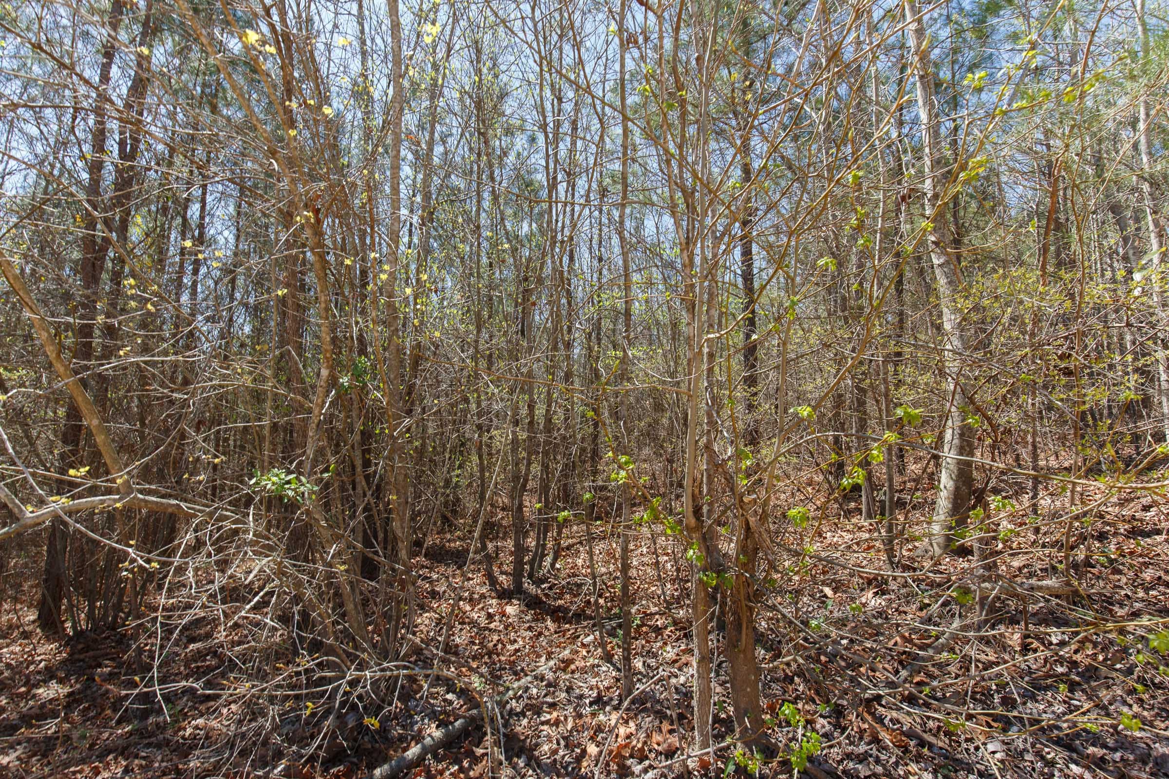 Southern Hills Tract 5 photo 10