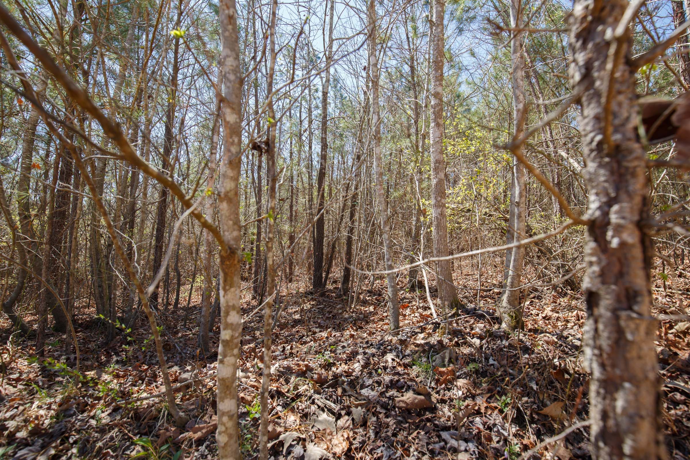 Southern Hills Tract 5 photo 12