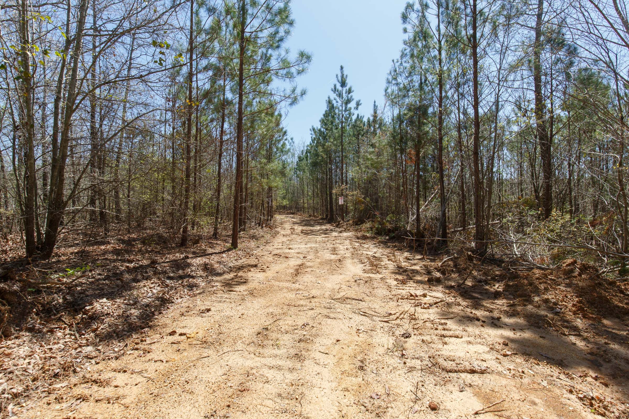 Southern Hills Tract 5 photo 11