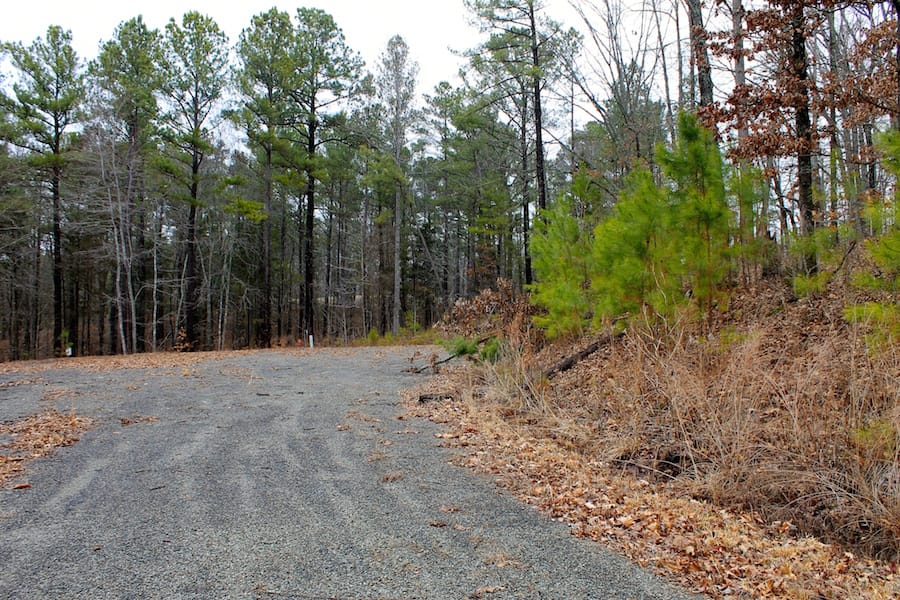 The Tennessean Tract 34 photo 2