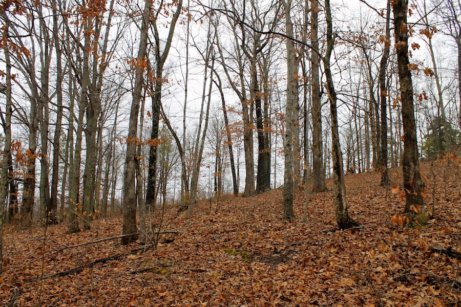 The Tennessean Tract 34 photo 4