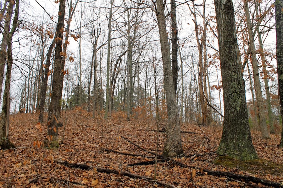 The Tennessean Tract 34 photo 5