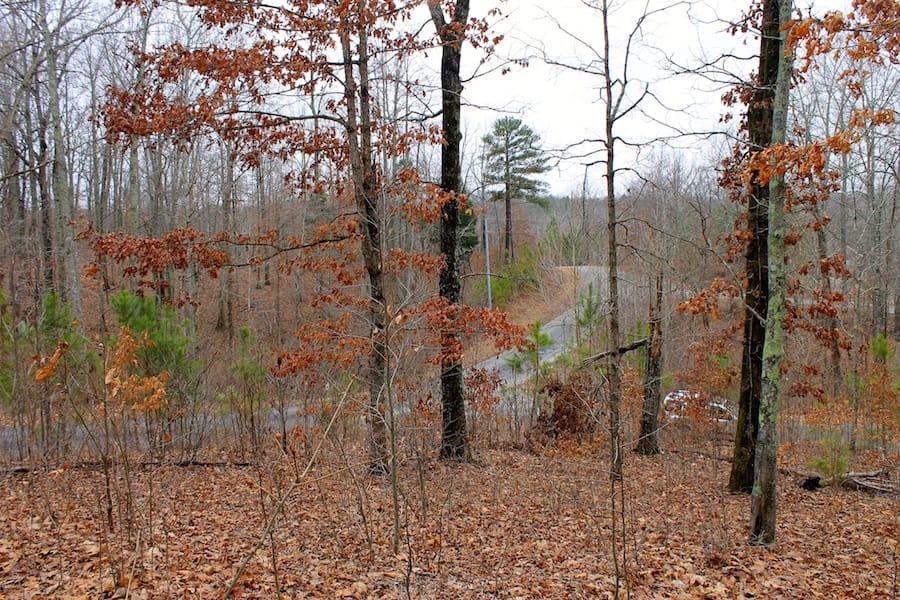 The Tennessean Tract 34 photo 8