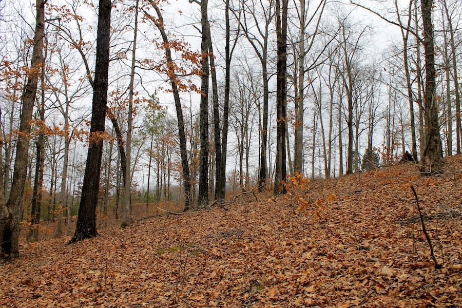 The Tennessean Tract 34 photo 9