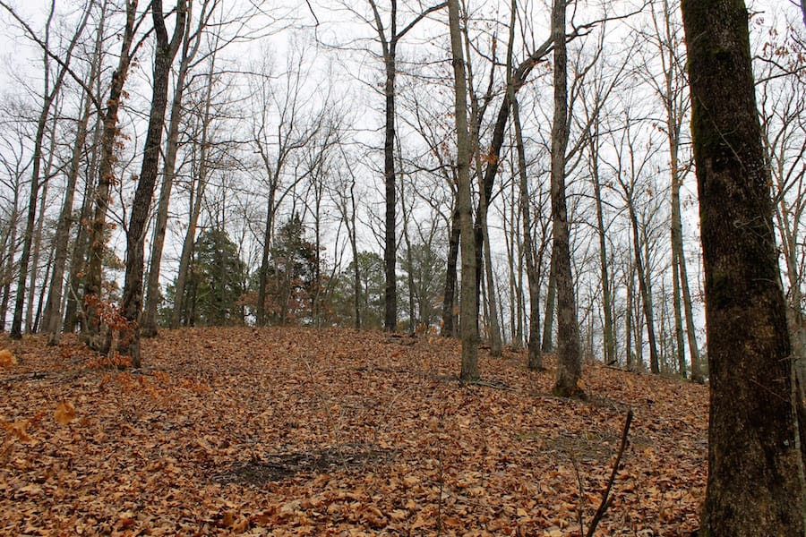 The Tennessean Tract 34 photo 10