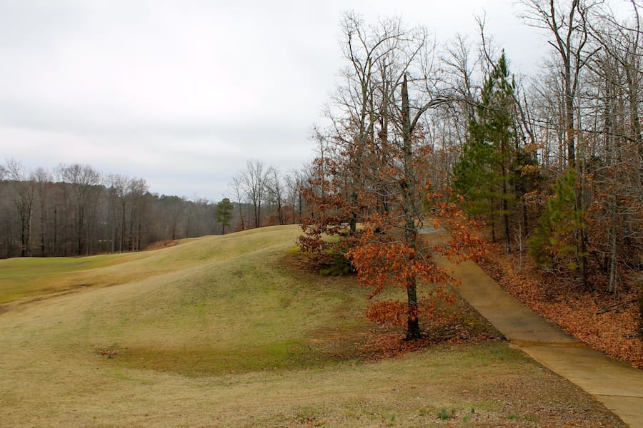 The Tennessean Tract 34 photo 11