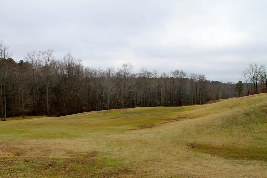 The Tennessean Tract 34 photo 12