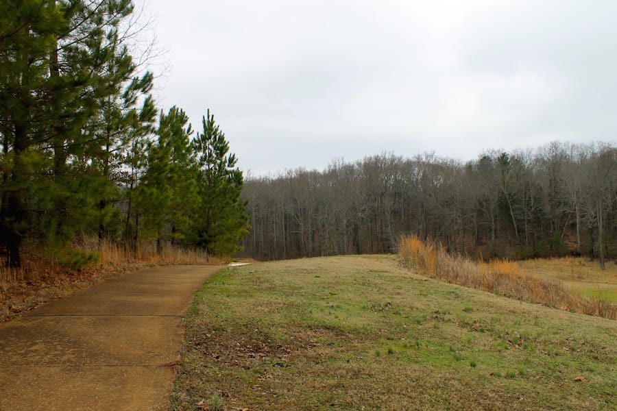 The Tennessean Tract 34 photo 13