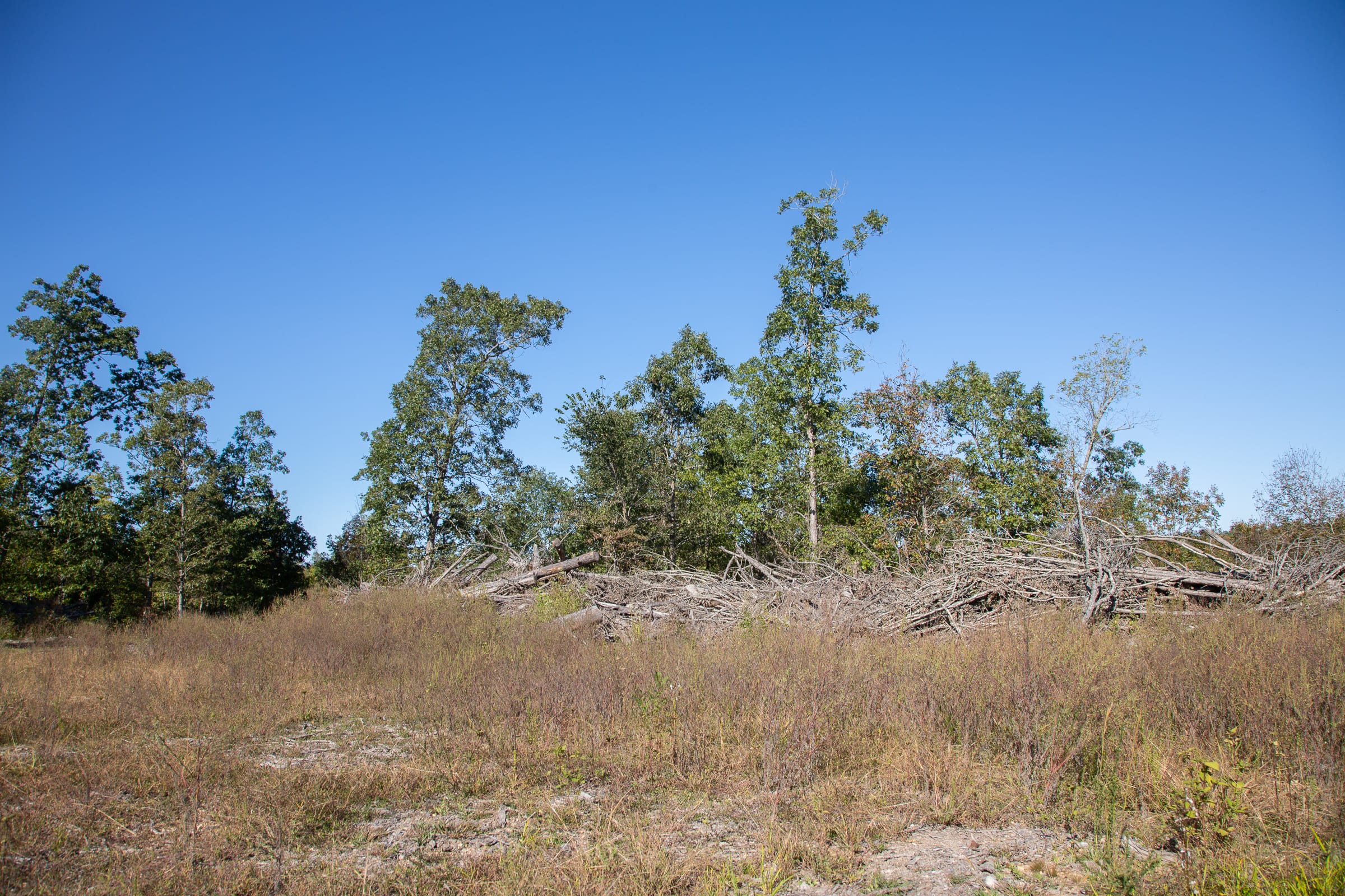 Borgmann’s Hollow Phase IV Tract 113 photo 2
