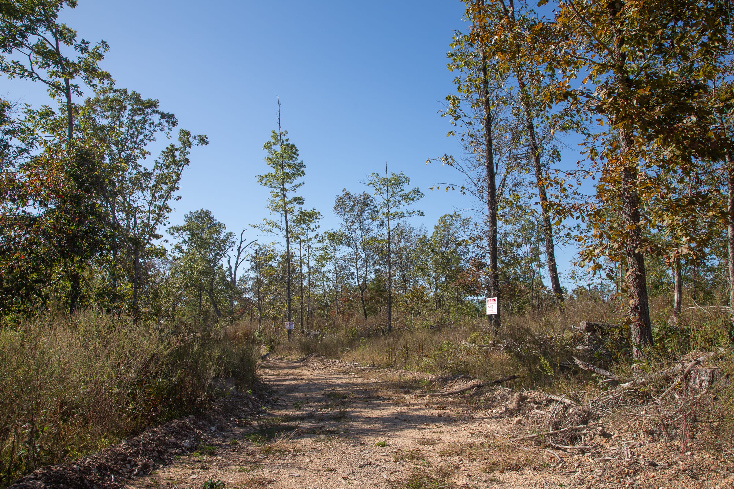 Borgmann’s Hollow Phase IV Tract 113 photo 7