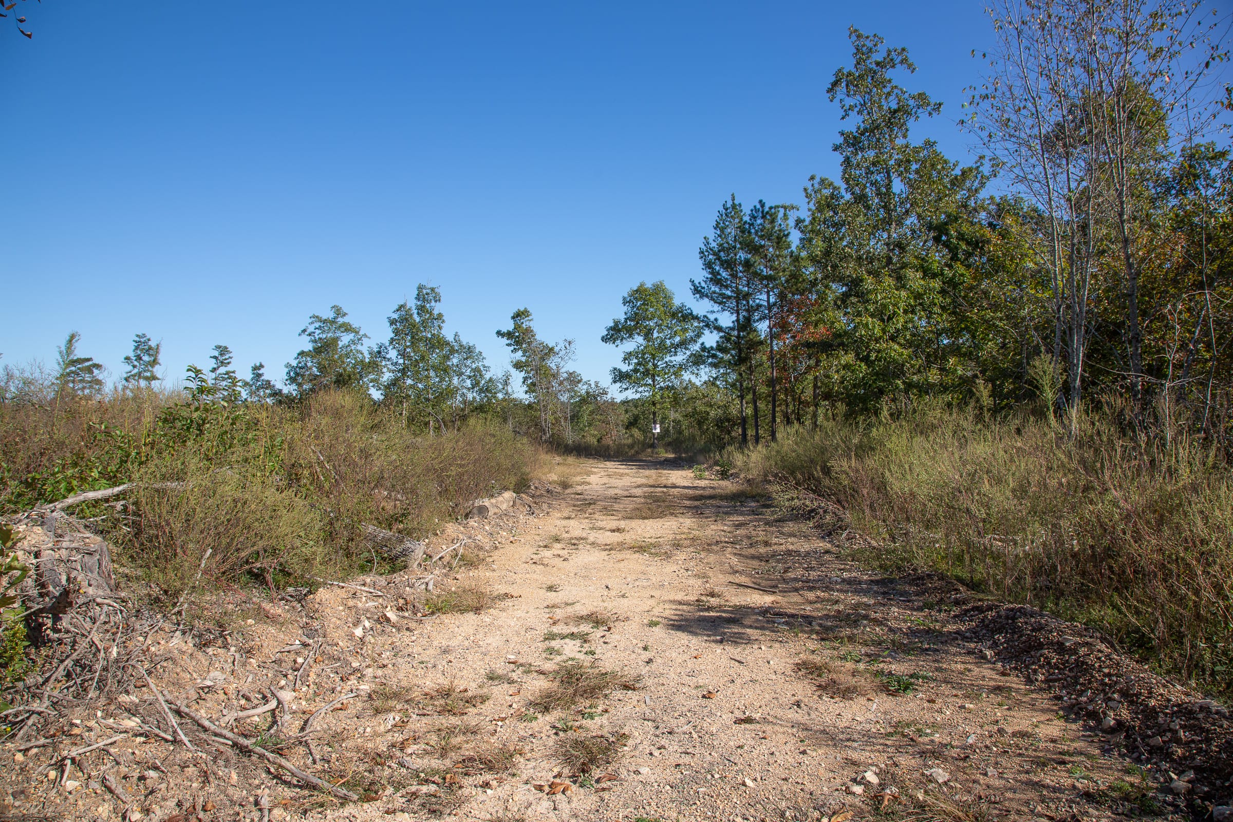 Borgmann’s Hollow Phase IV Tract 113 photo 1