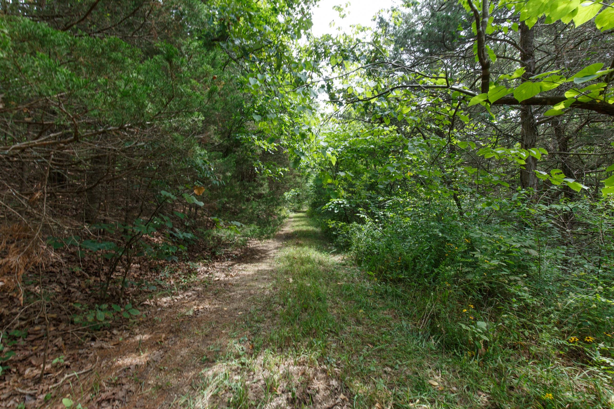 Spring Lake Plat 5 Tract 302 photo 3
