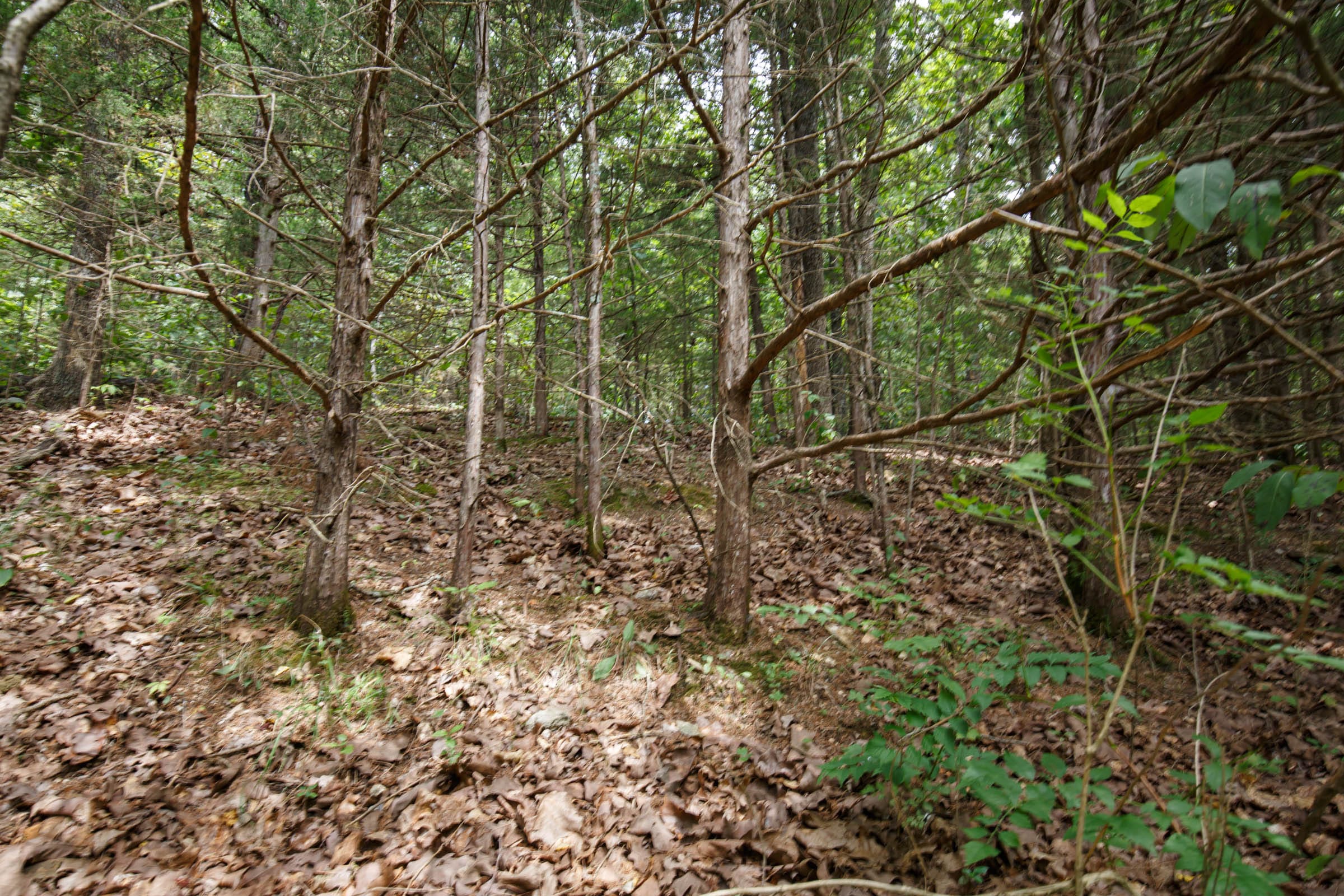 Spring Lake Plat 5 Tract 302 photo 4