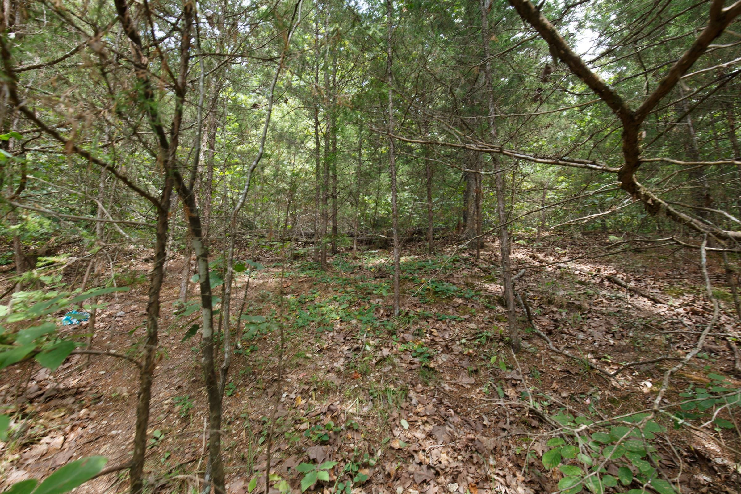 Spring Lake Plat 5 Tract 302 photo 5