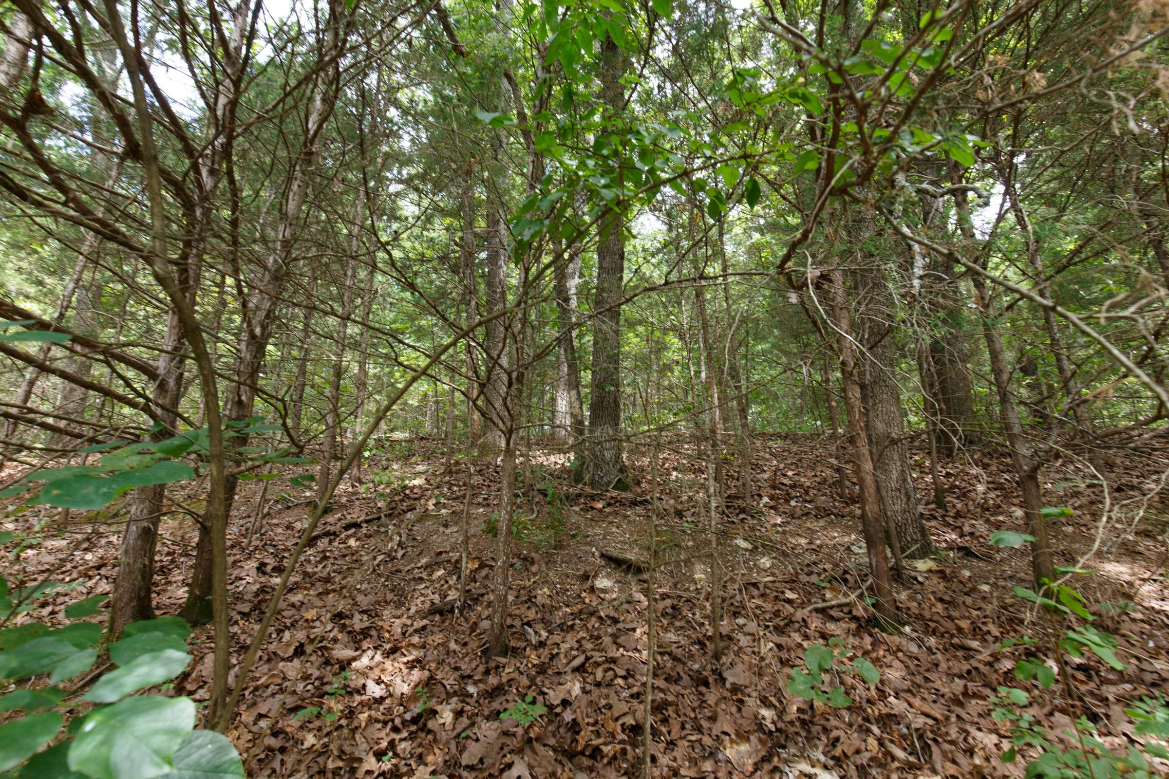 Spring Lake Plat 5 Tract 302 photo 6