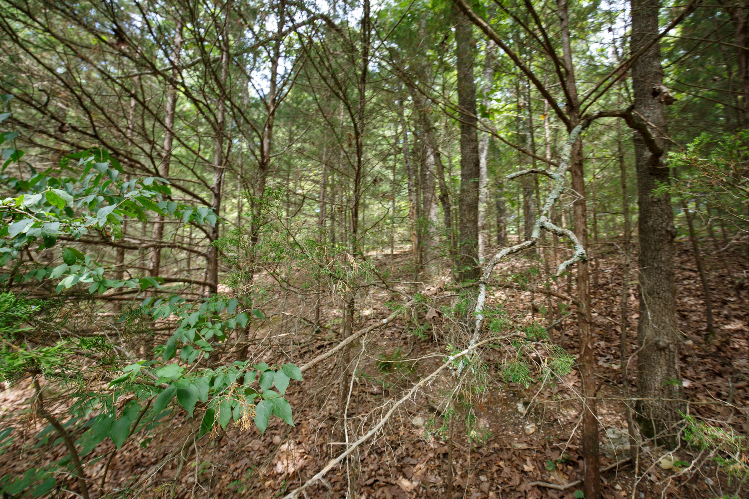 Spring Lake Plat 5 Tract 302 photo 2