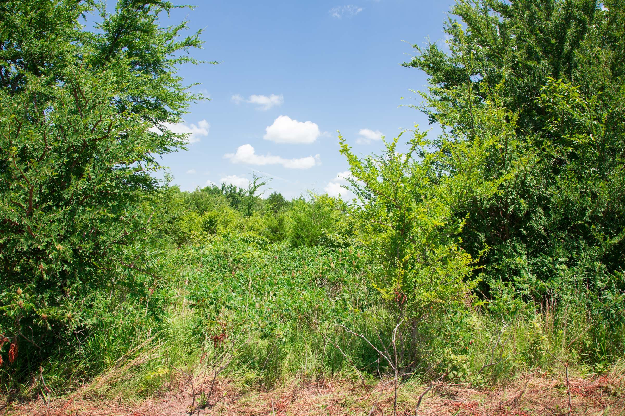 Deep Fork Ranch Tract 2 photo 5