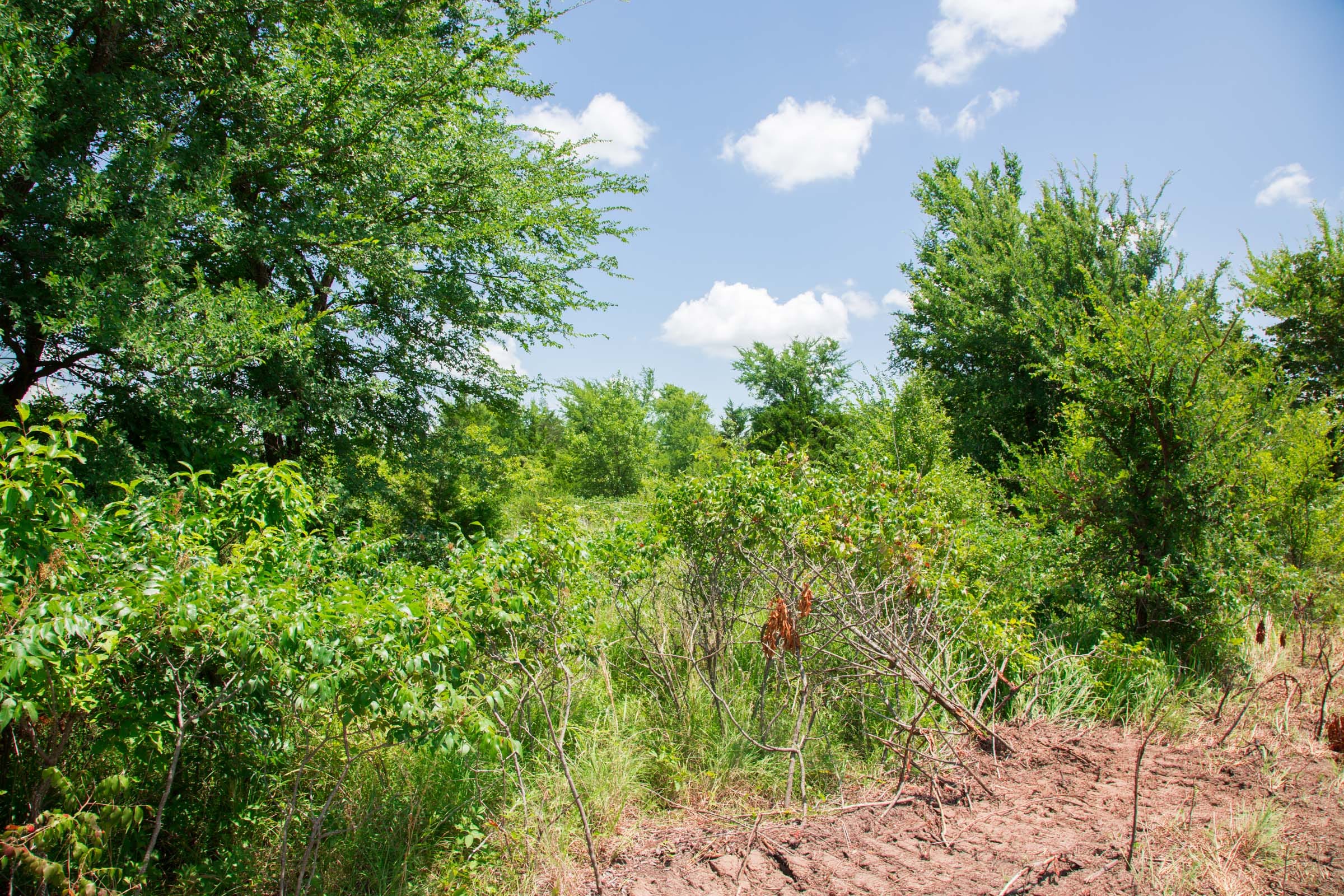 Deep Fork Ranch Tract 2 photo 6
