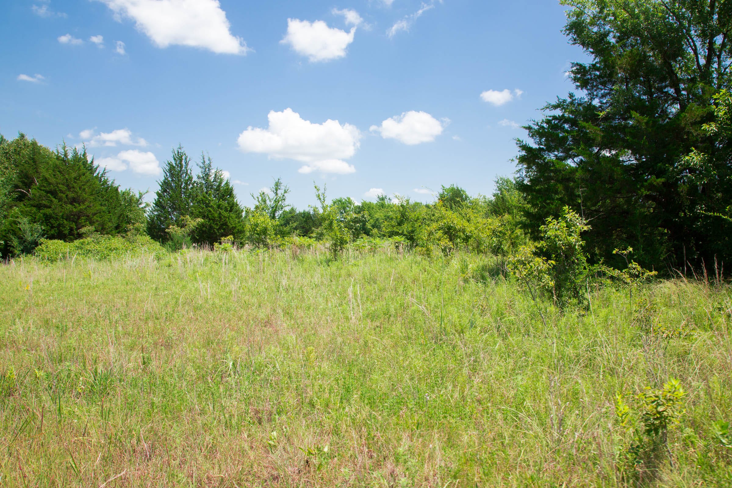 Deep Fork Ranch Tract 2 photo 8