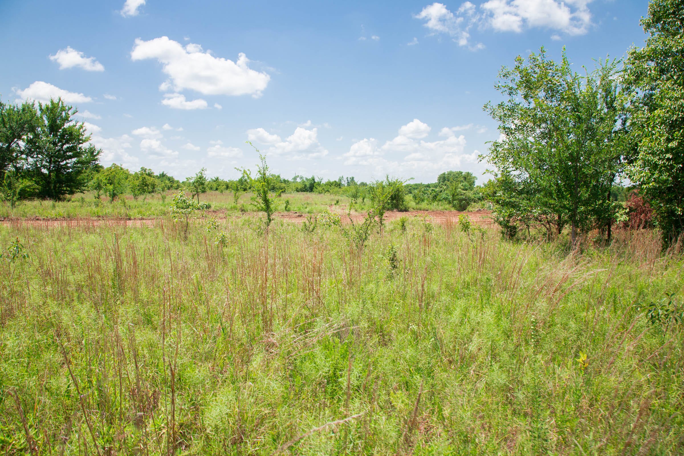 Deep Fork Ranch Tract 2 photo 11