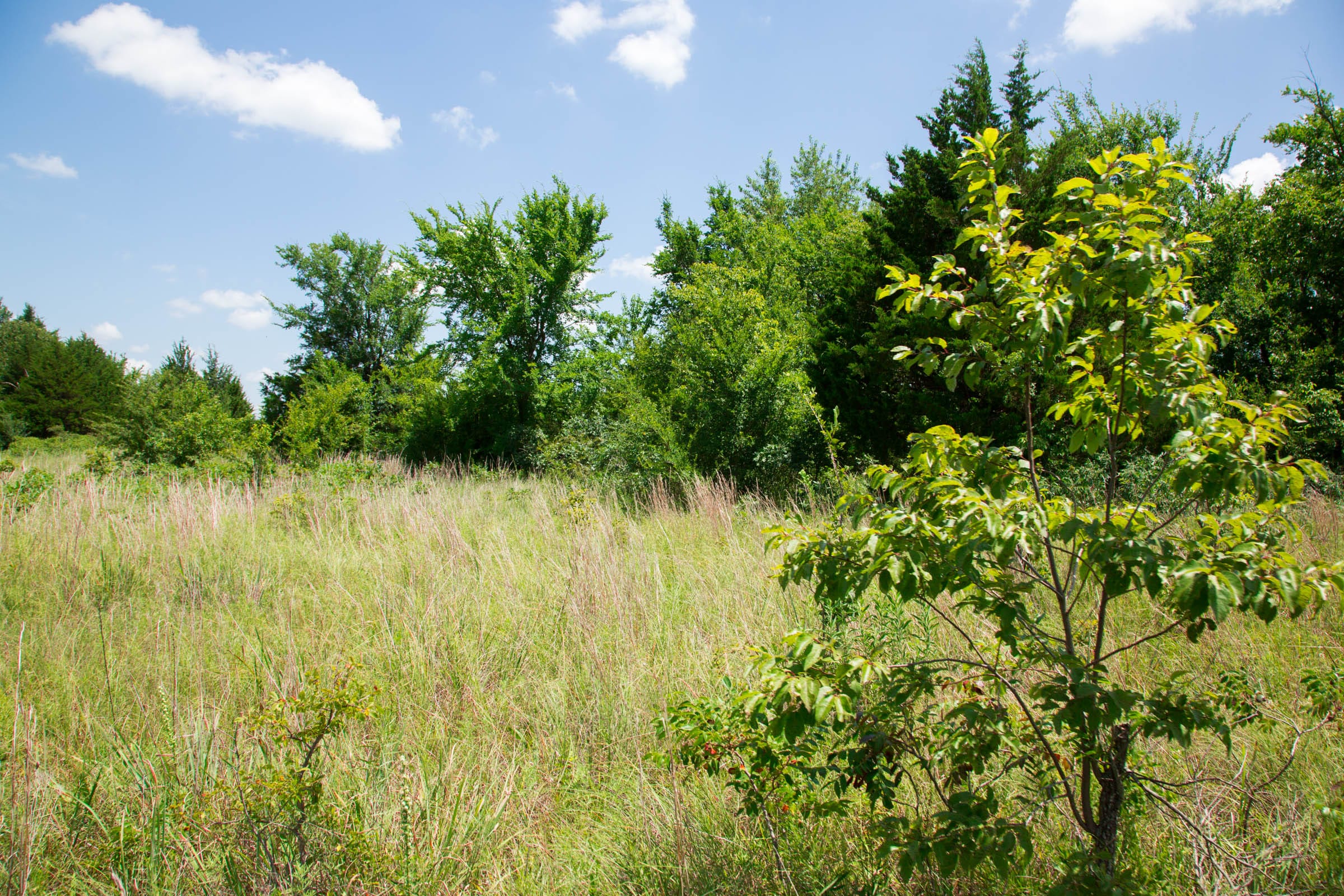 Deep Fork Ranch Tract 2 photo 12