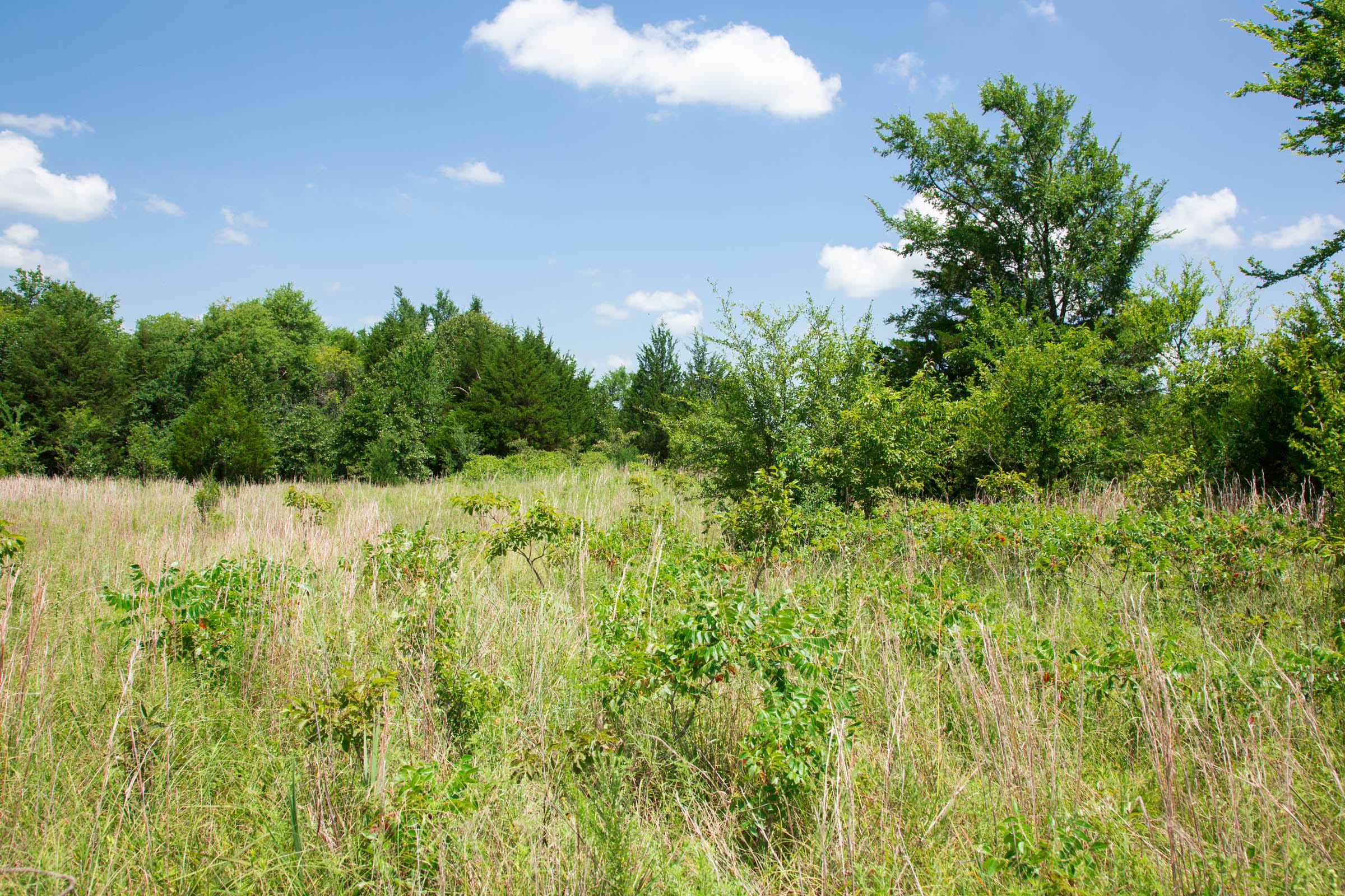 Deep Fork Ranch Tract 2 photo 13