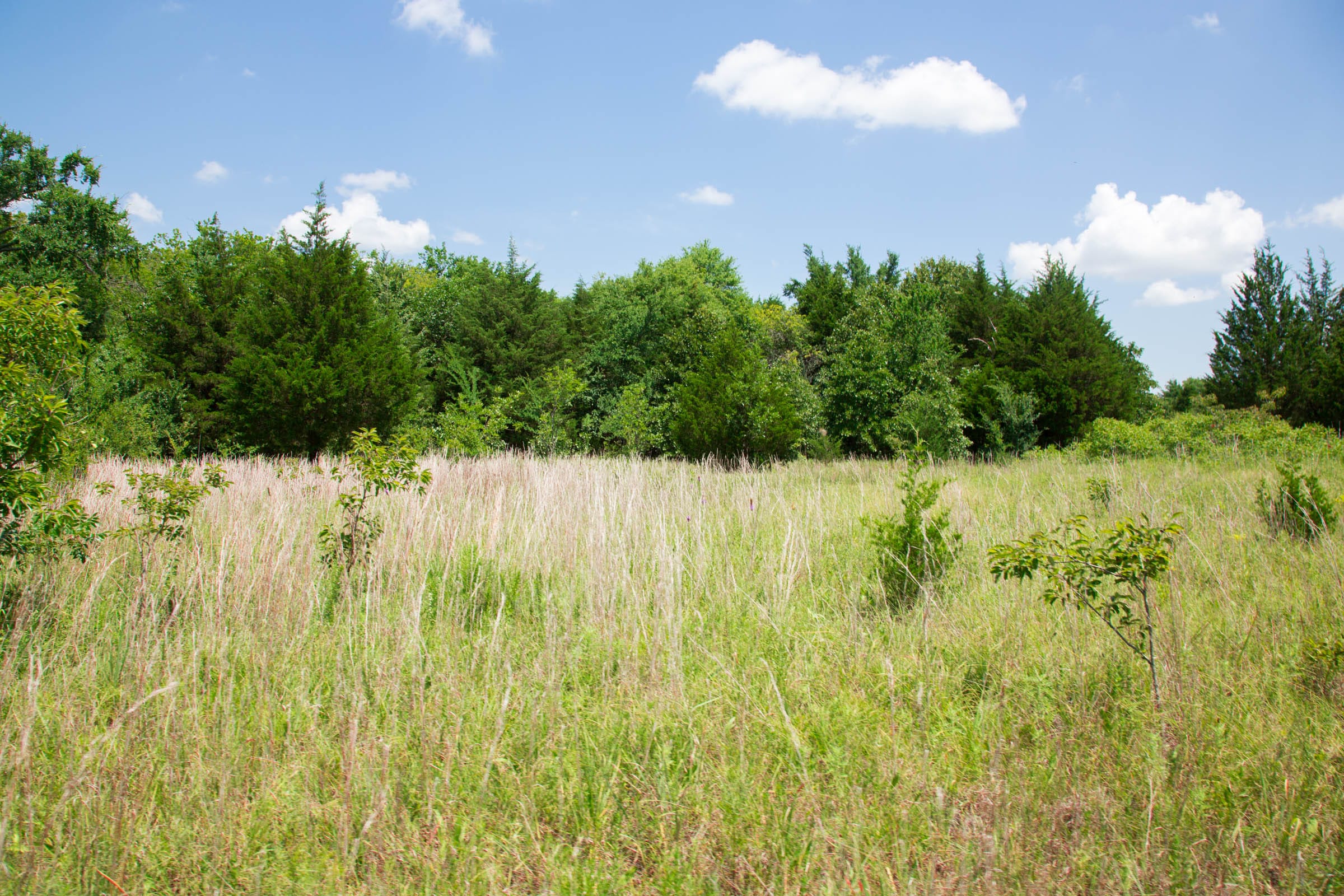 Deep Fork Ranch Tract 2 photo 14