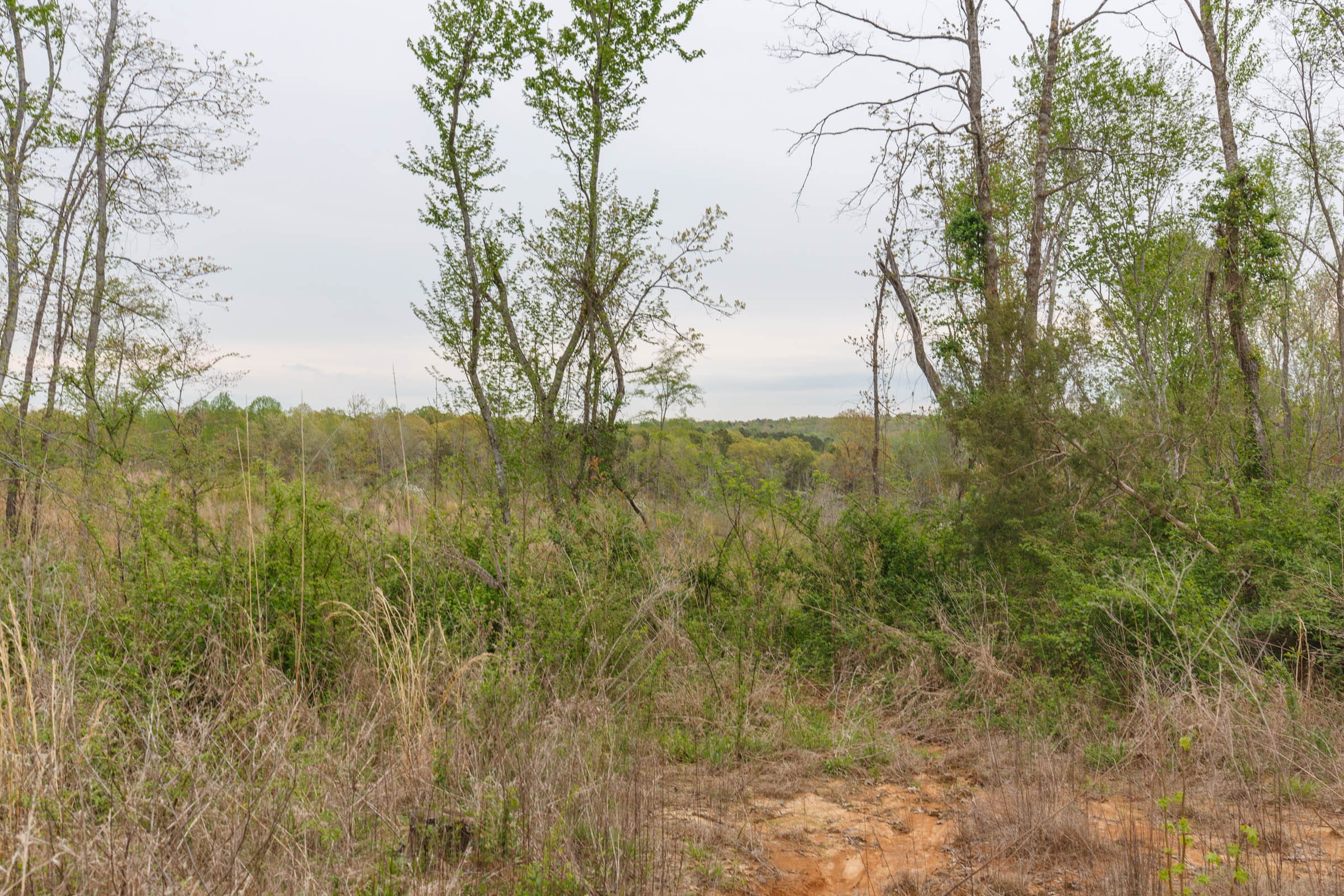 Twin Rivers Tract 22 photo 3