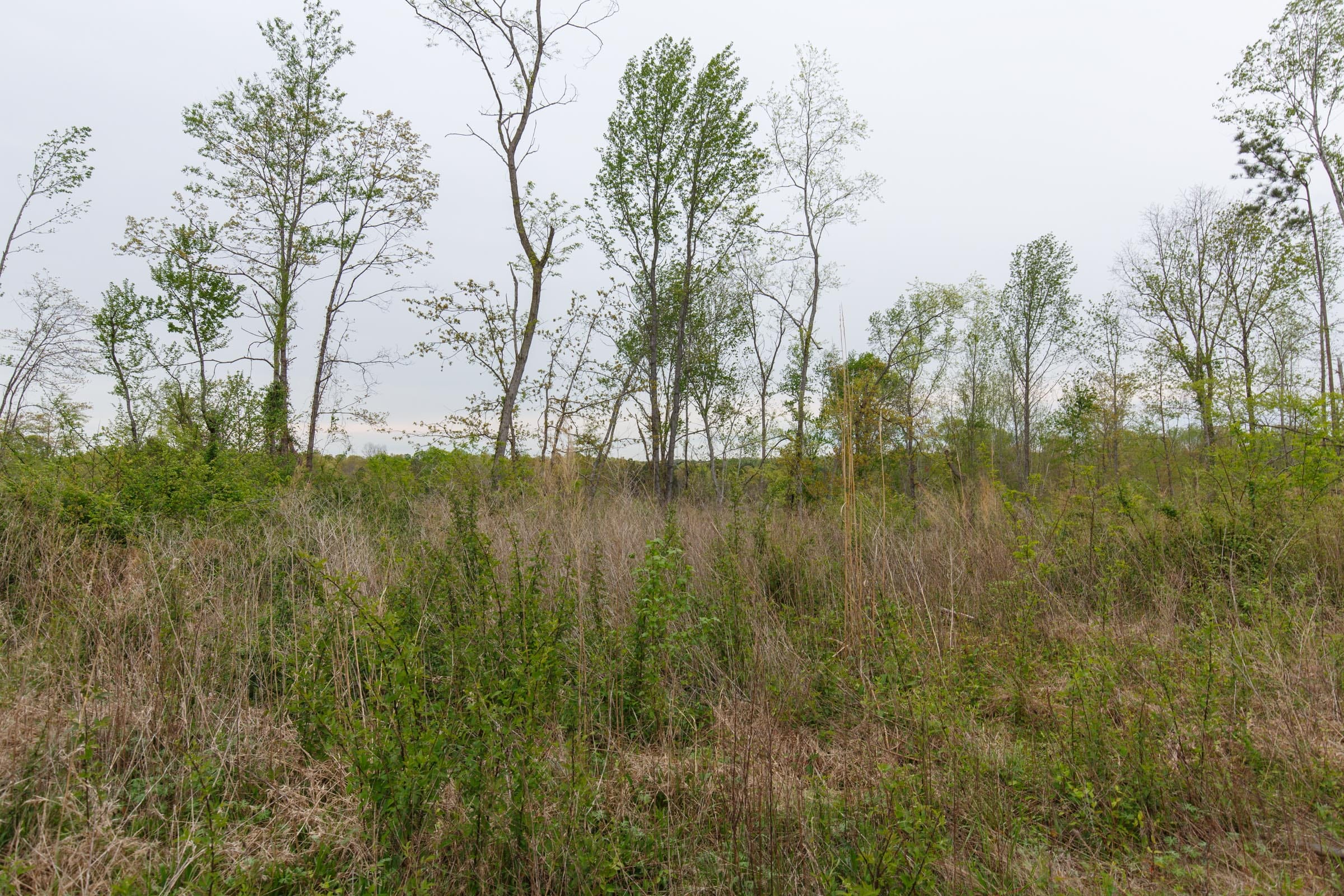Twin Rivers Tract 22 photo 5