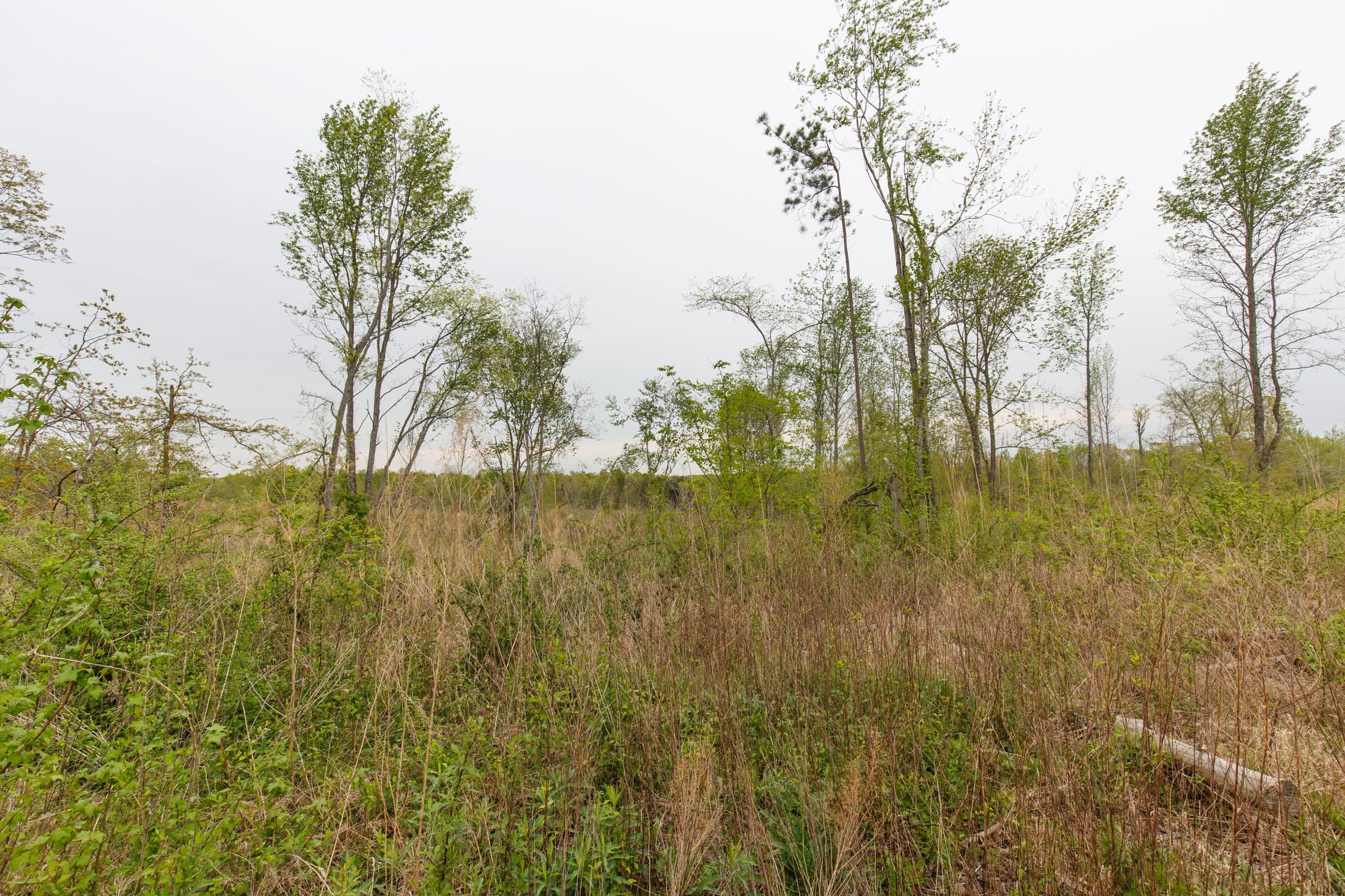 Twin Rivers Tract 22 photo 7