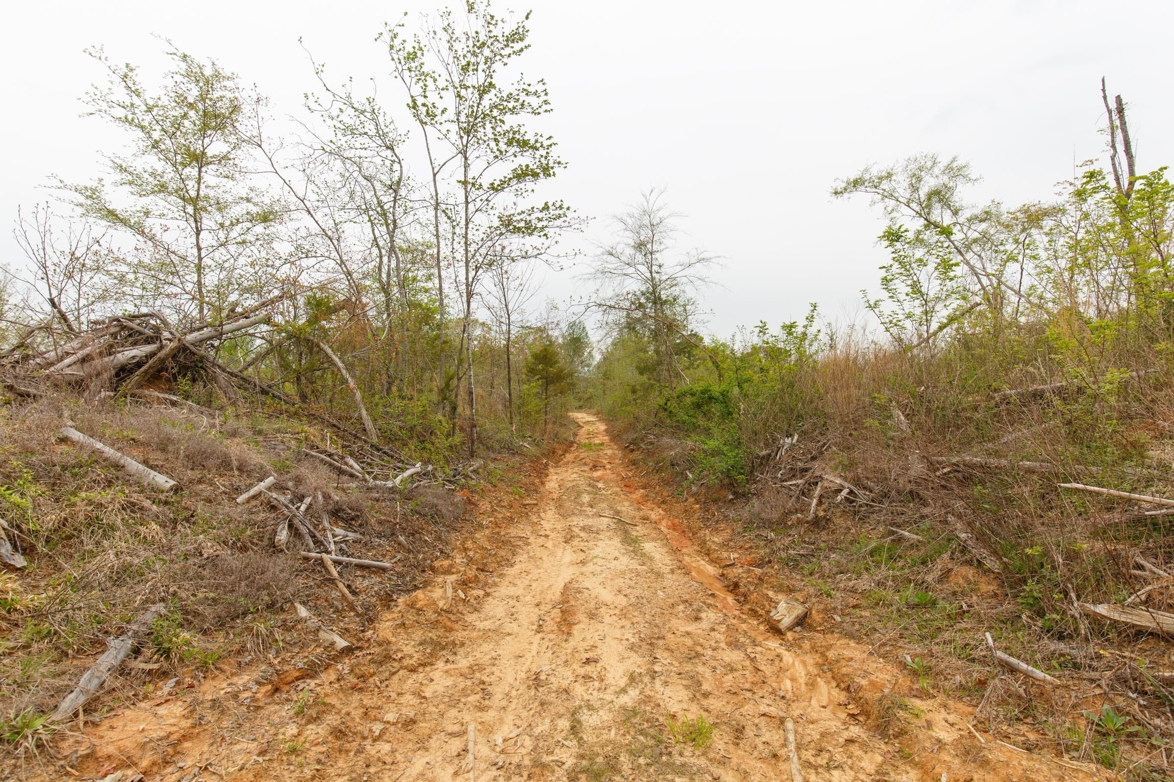 Twin Rivers Tract 22 photo 6
