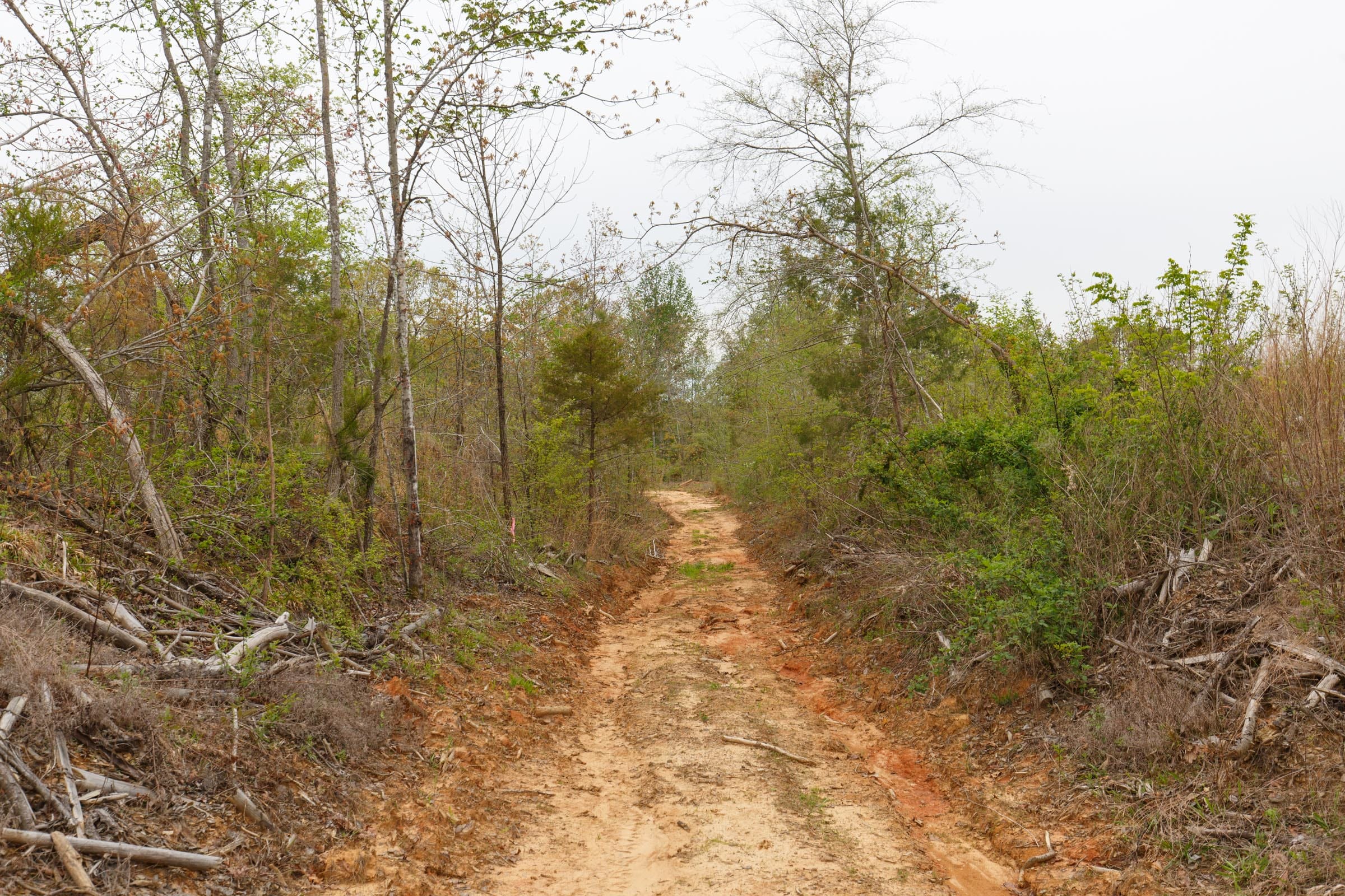 Twin Rivers Tract 22 photo 2