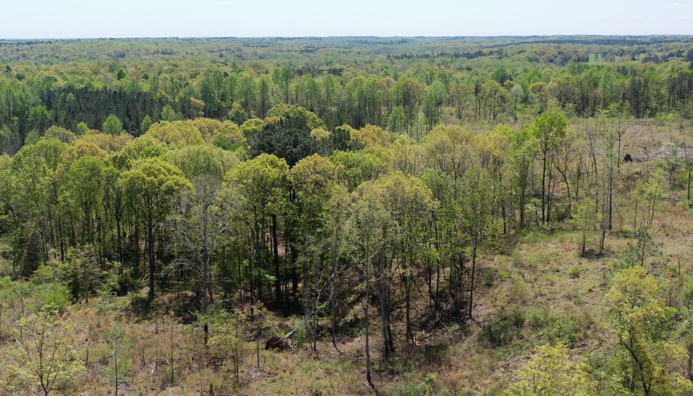 Twin Rivers Tract 22 photo 1
