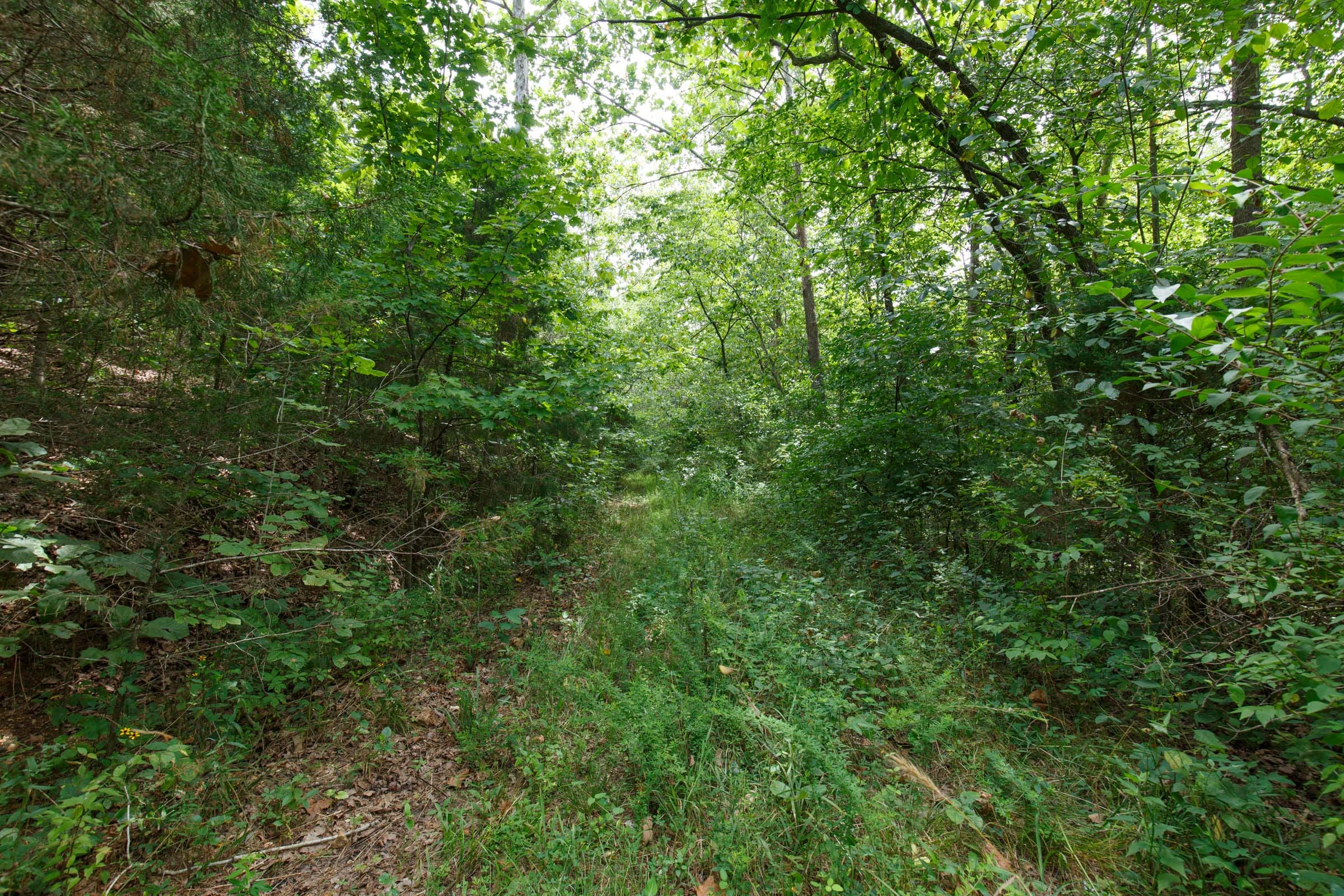 Spring Lake Plat 5 Tract 325 photo 3